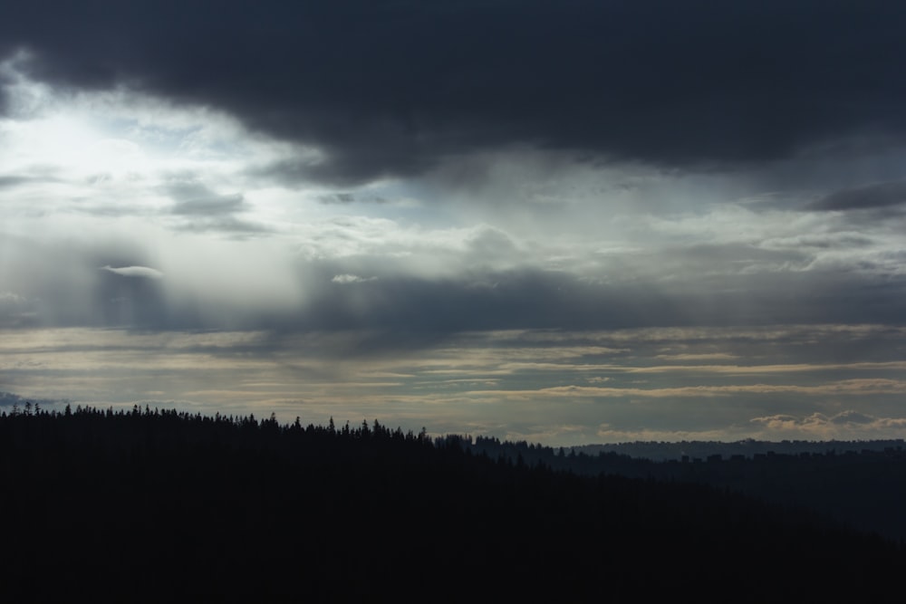 the sun shines through the clouds over a forest