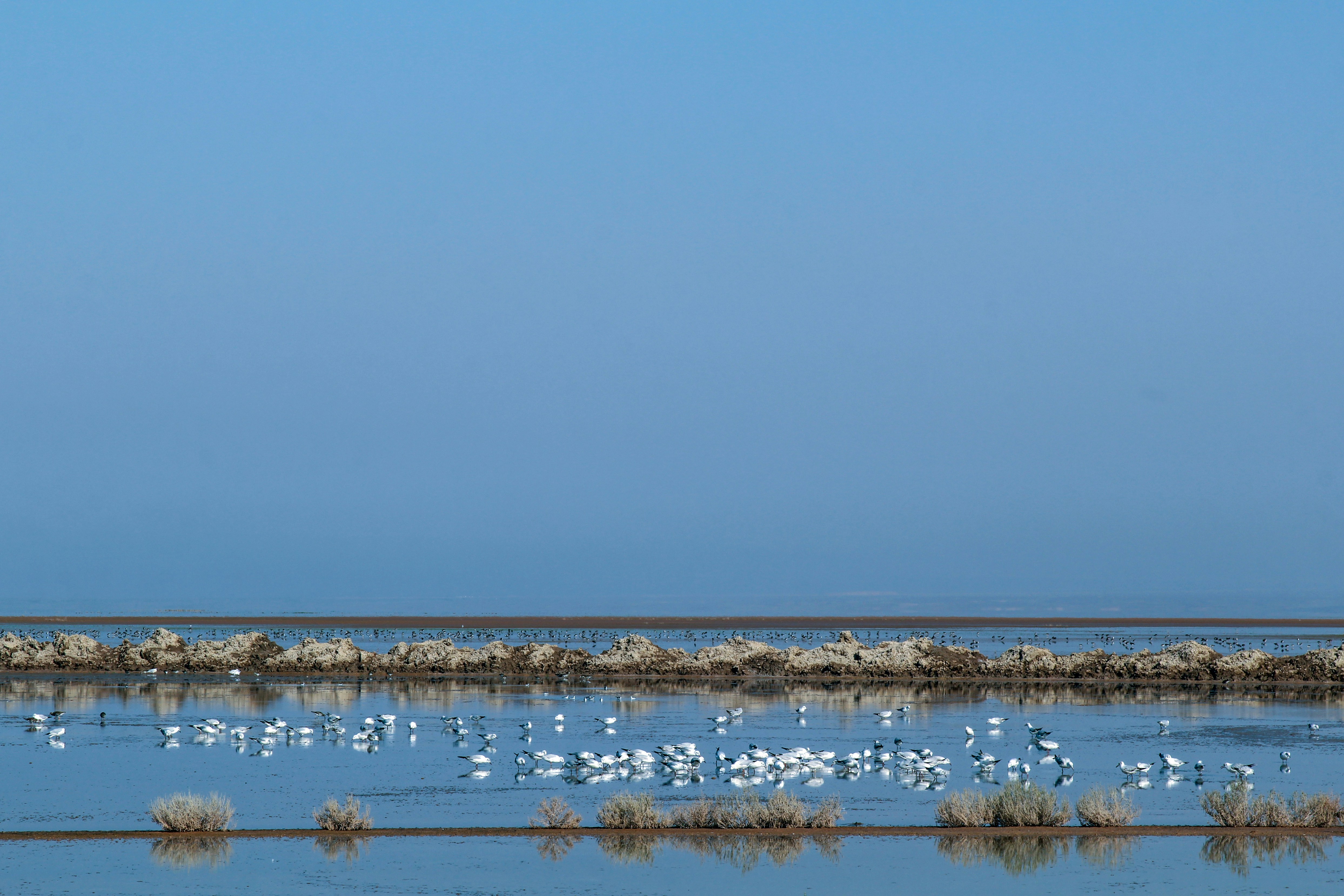 Photo by shima_abedin93