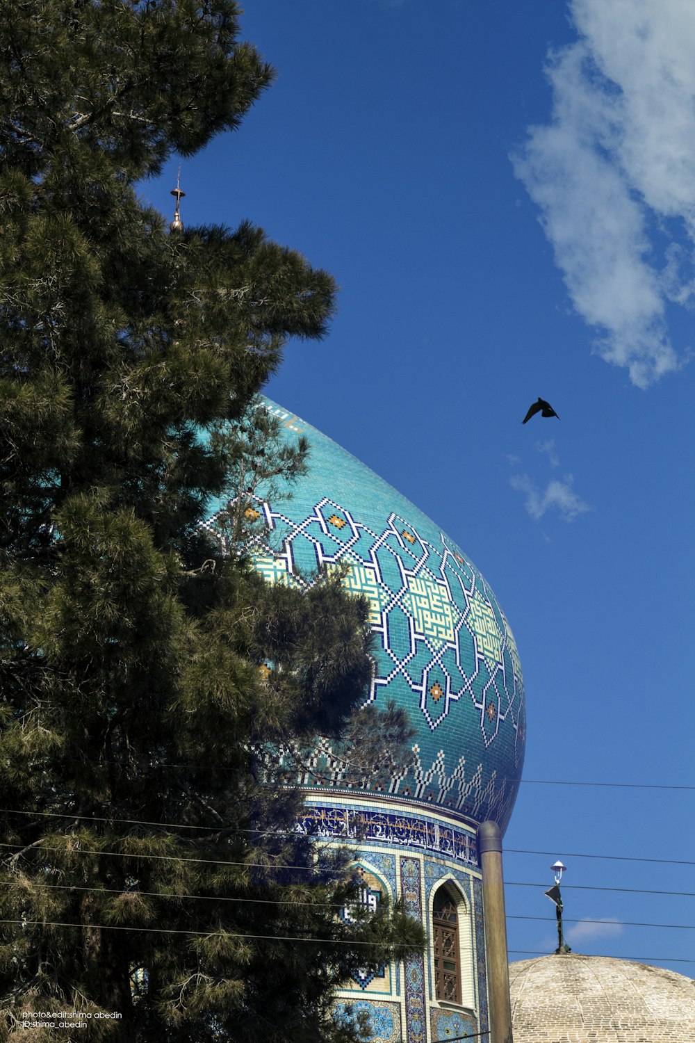 a bird flying over a building with a dome