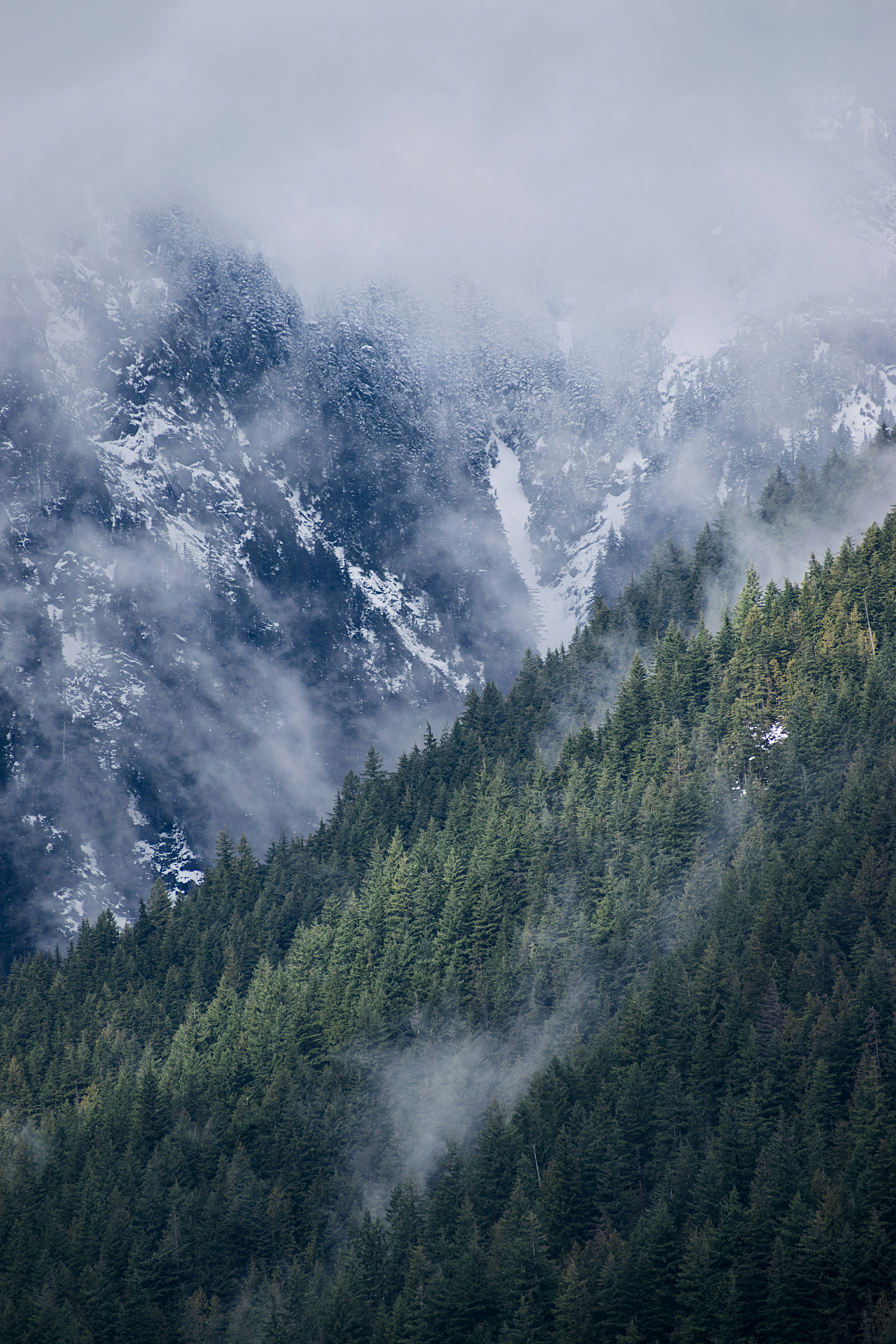 The Dynamic Effects of Seasonal Changes on Rental Properties in Vancouver