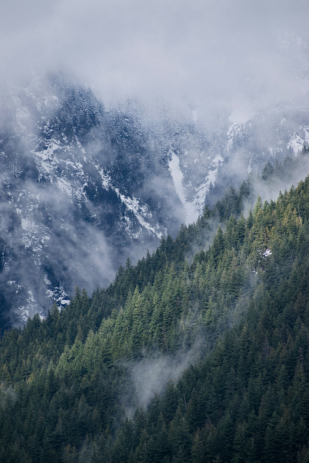 a view of a mountain range with a forest in the foreground