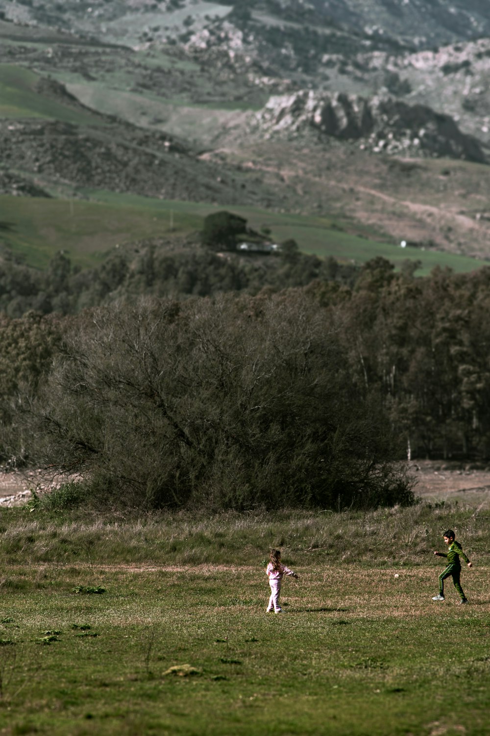 a group of people in a field flying a kite