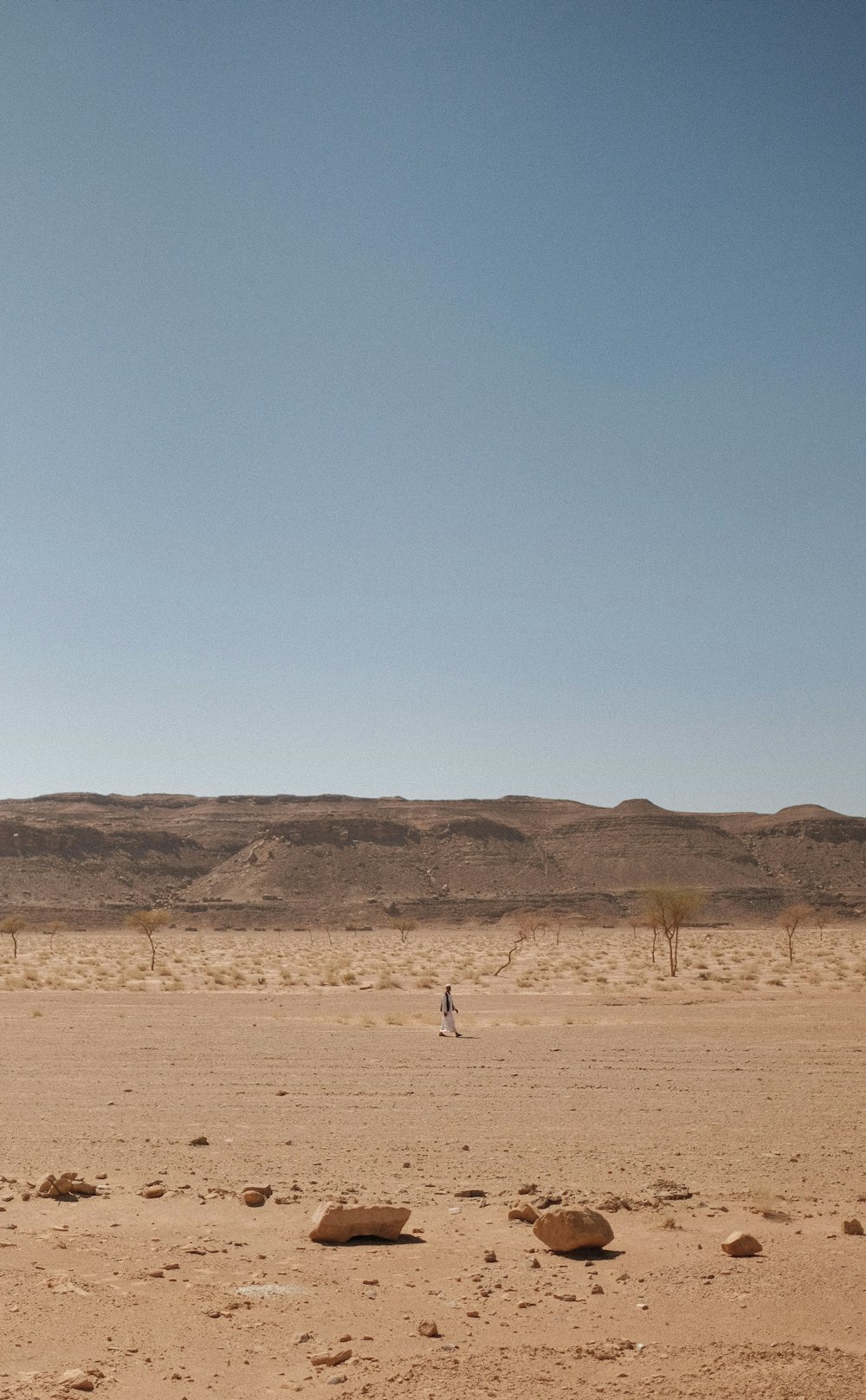 a person is flying a kite in the desert