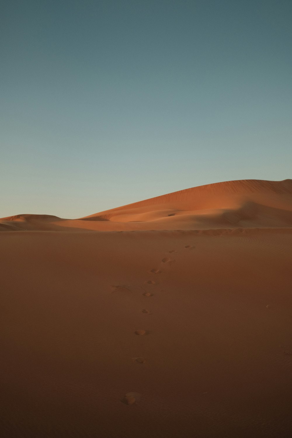 a person walking across a desert with footprints in the sand