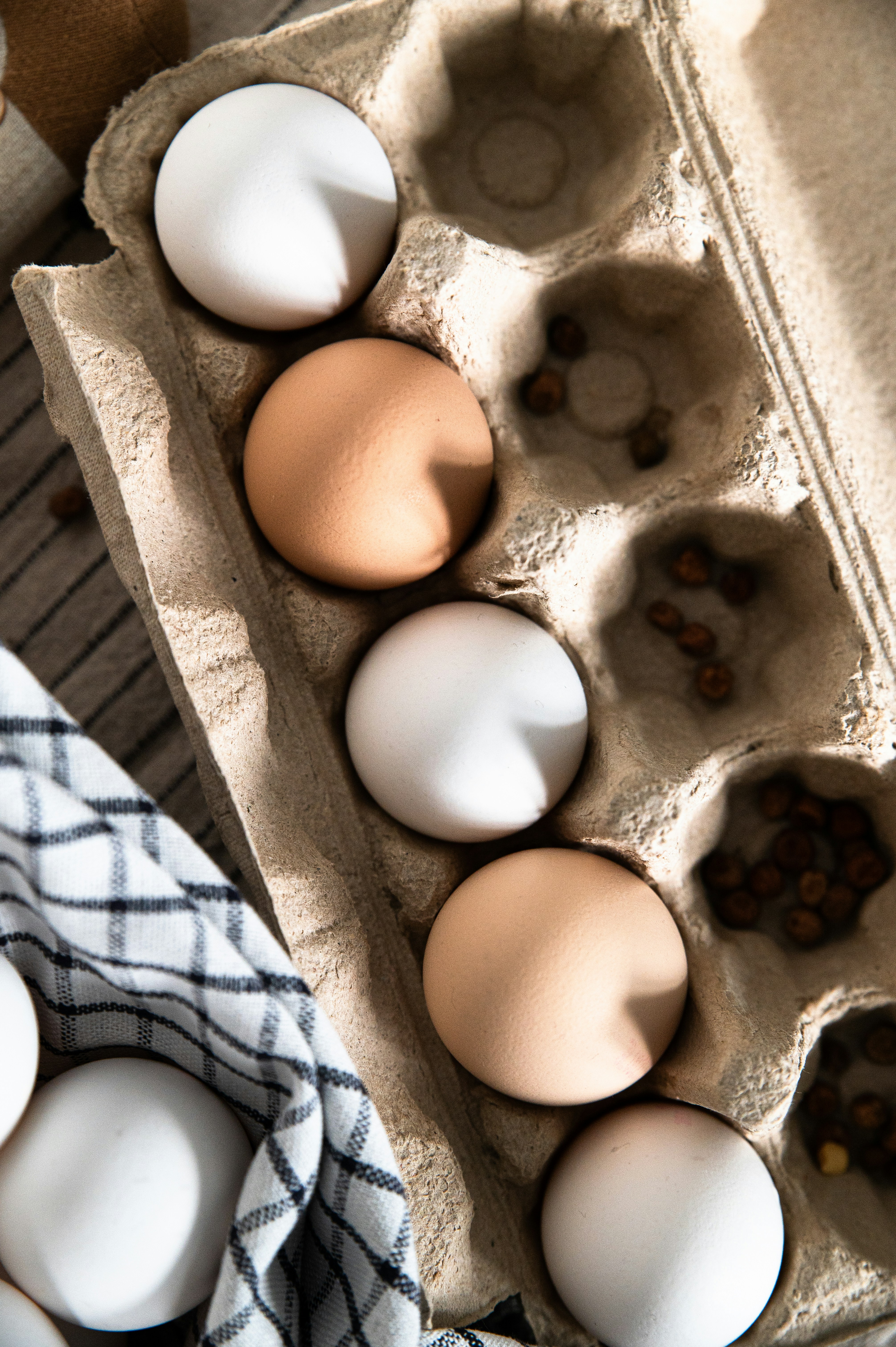 Photo by christina_kozak