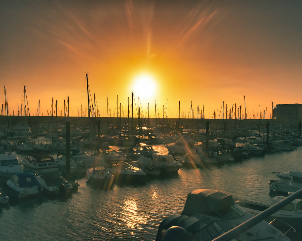 a harbor filled with lots of boats at sunset