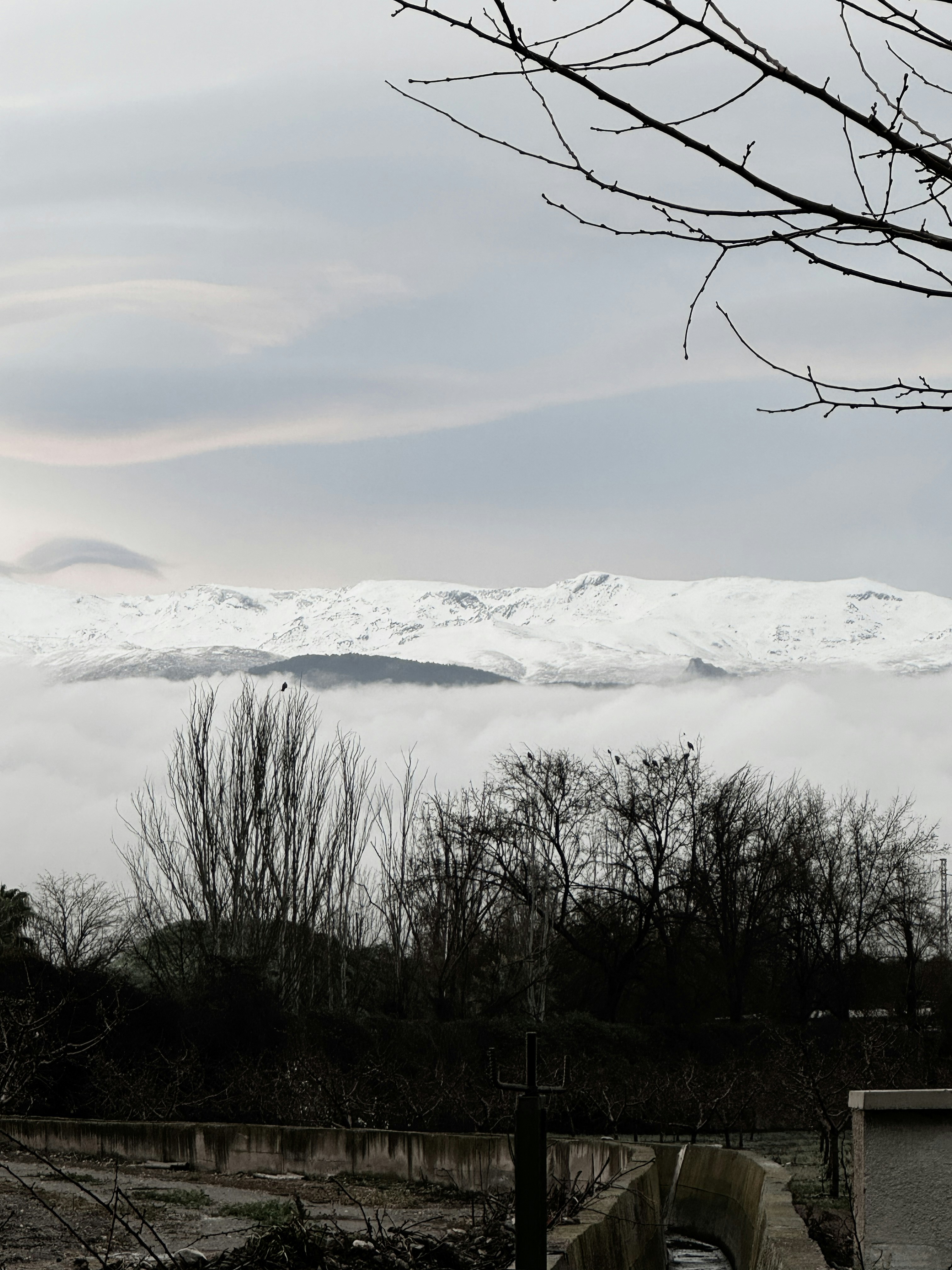 Fotomural a view of a snow covered mountain in the distance