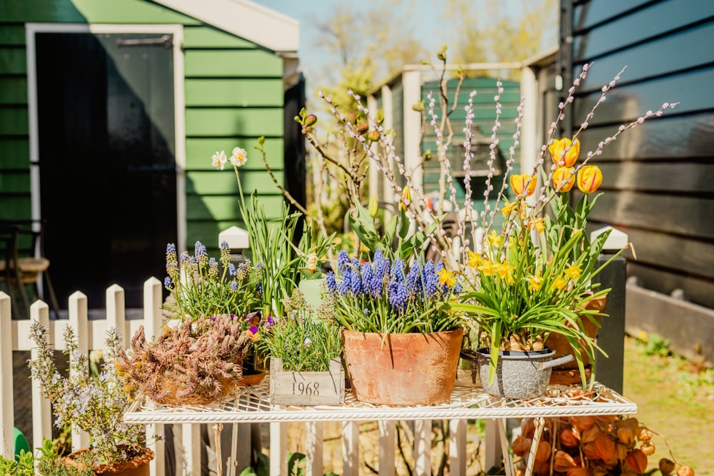 a table topped with lots of potted plants