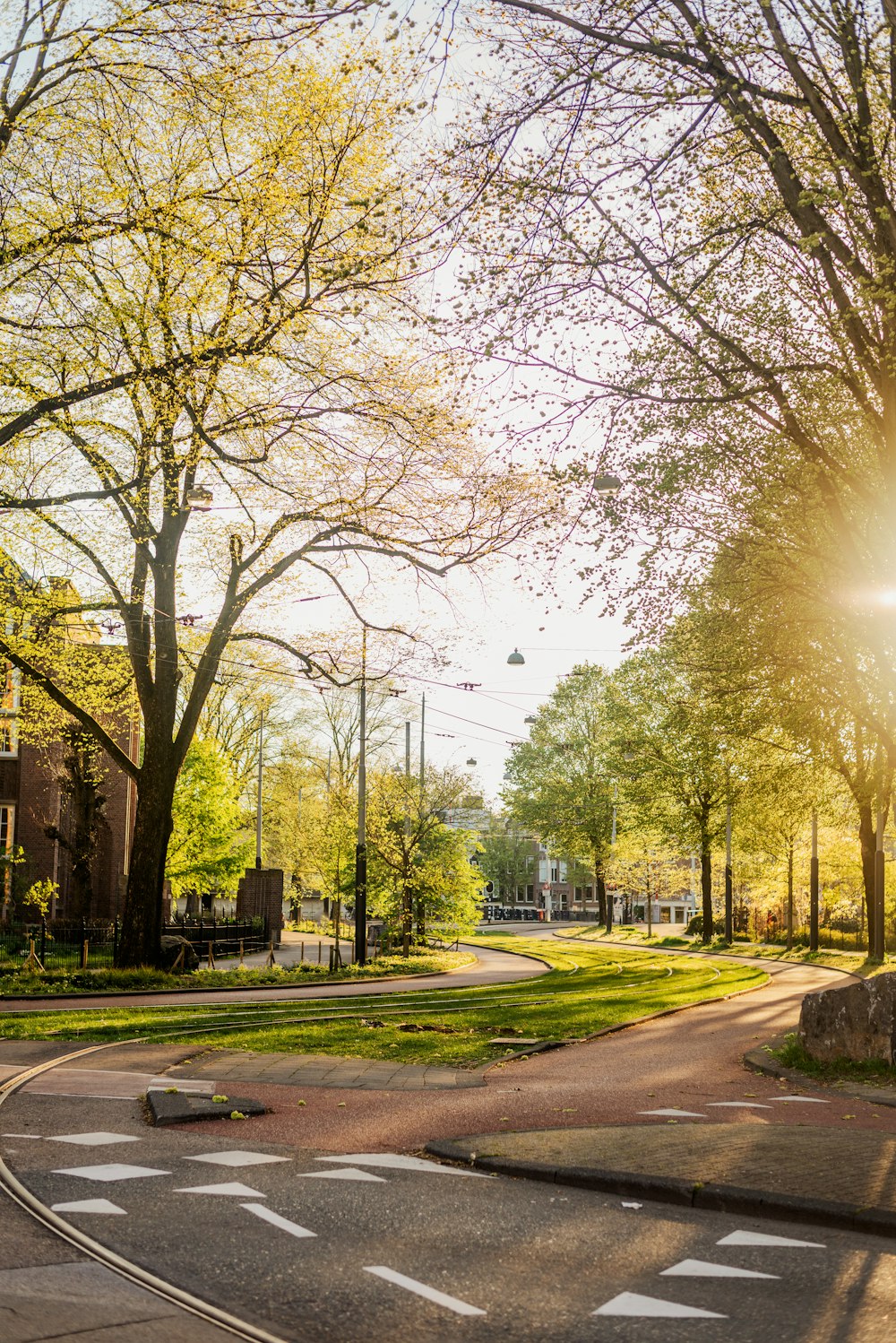 the sun shines brightly through the trees in the park