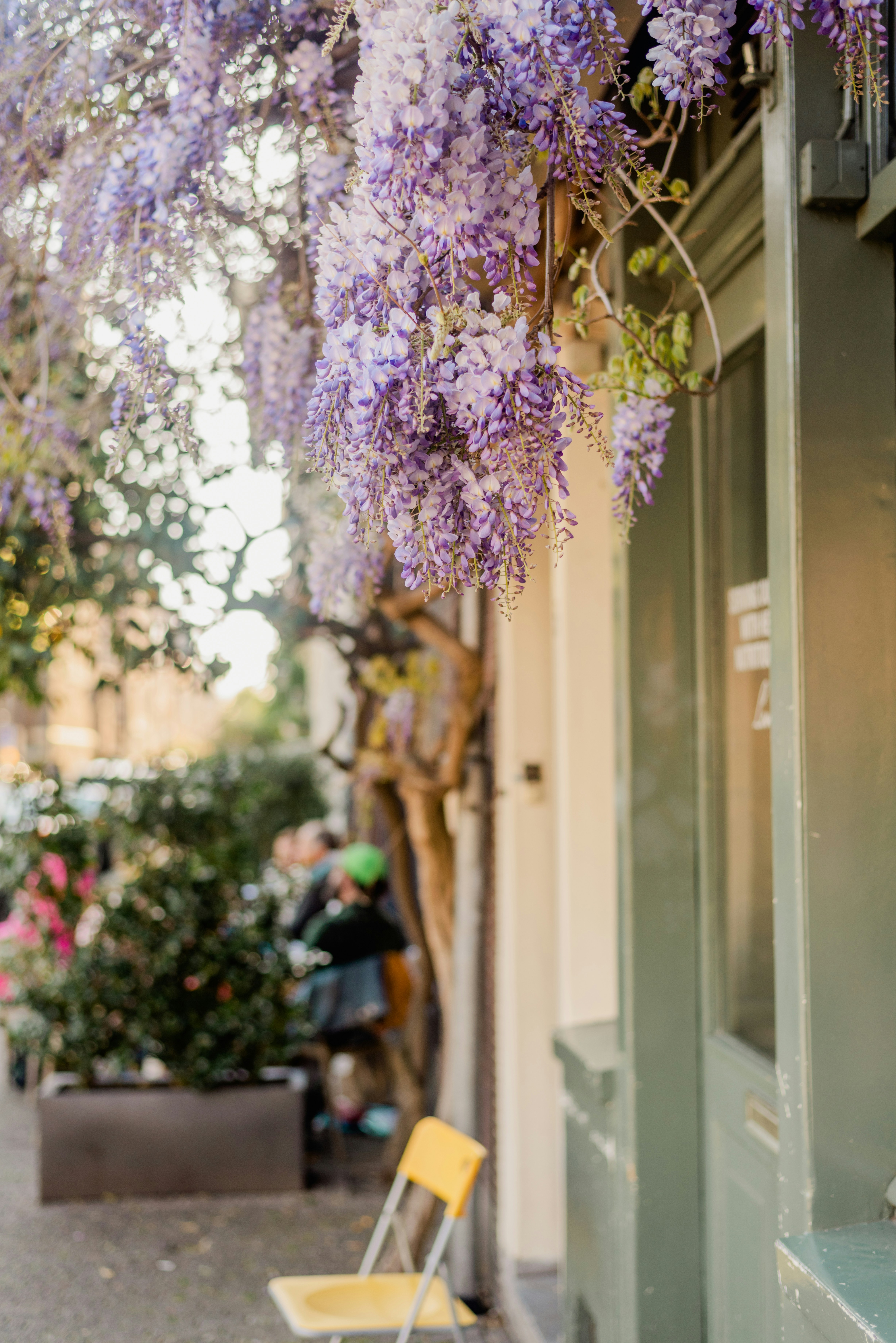 Photo by eugenivy_now