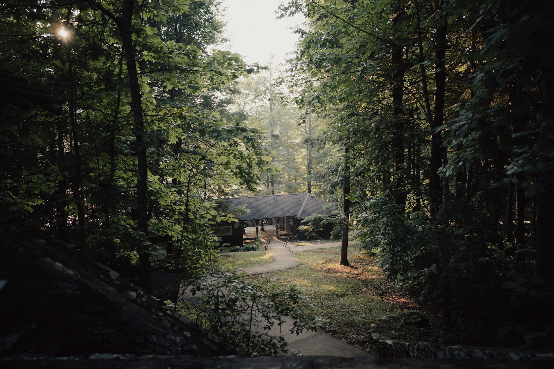 a house in the middle of a wooded area