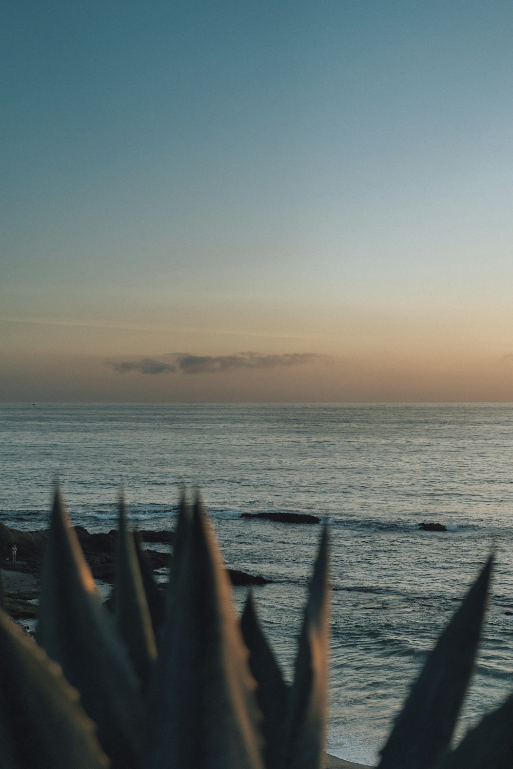 a view of a body of water from a beach