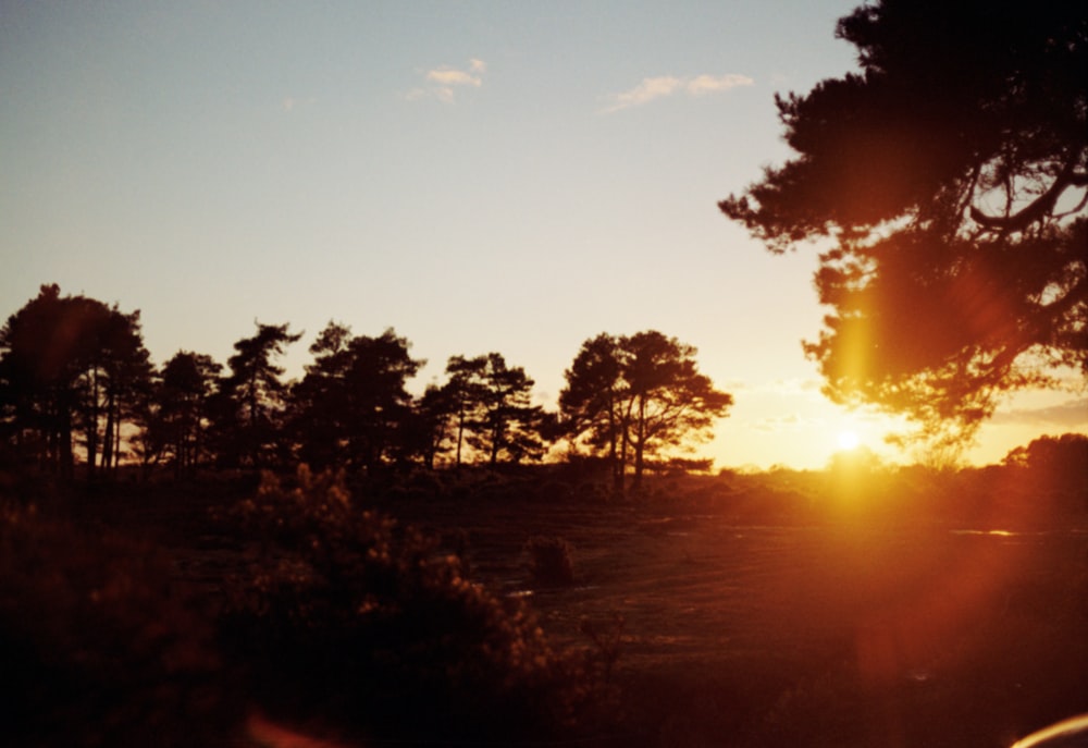 the sun is setting over a field with trees