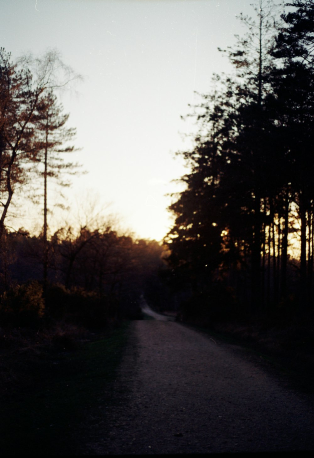 the sun is setting over a road in the woods