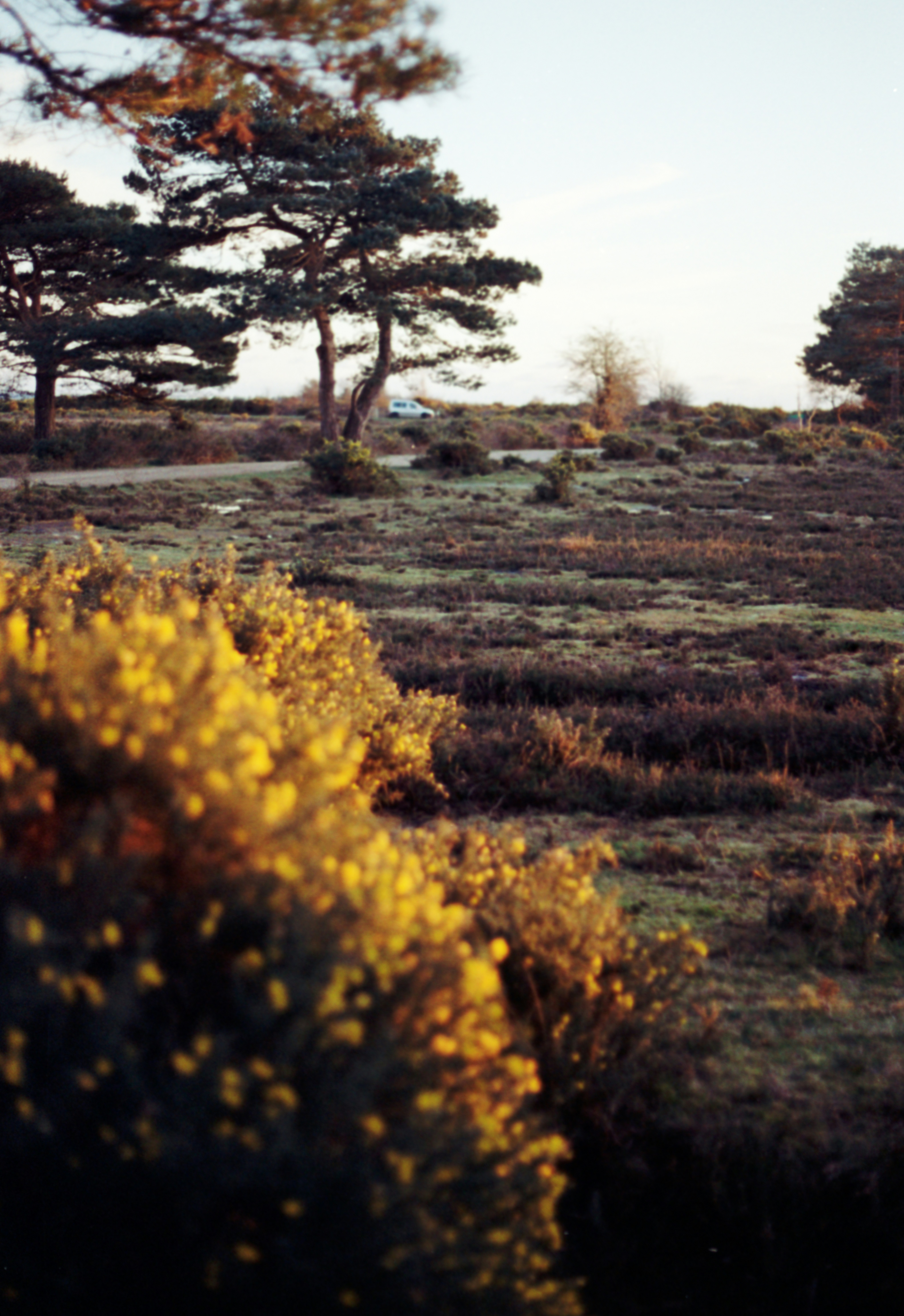 Photo by anniespratt