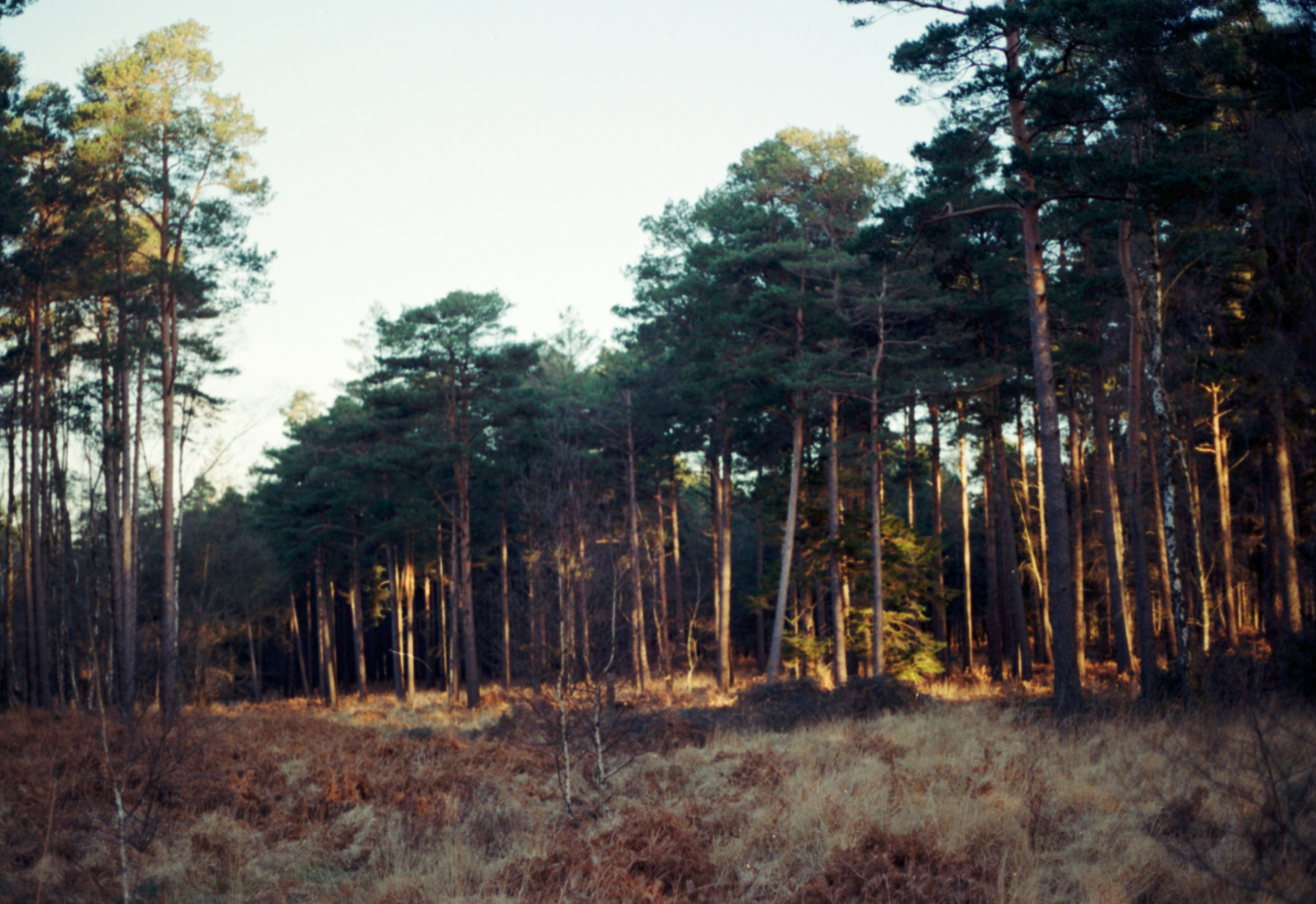 Photo by anniespratt