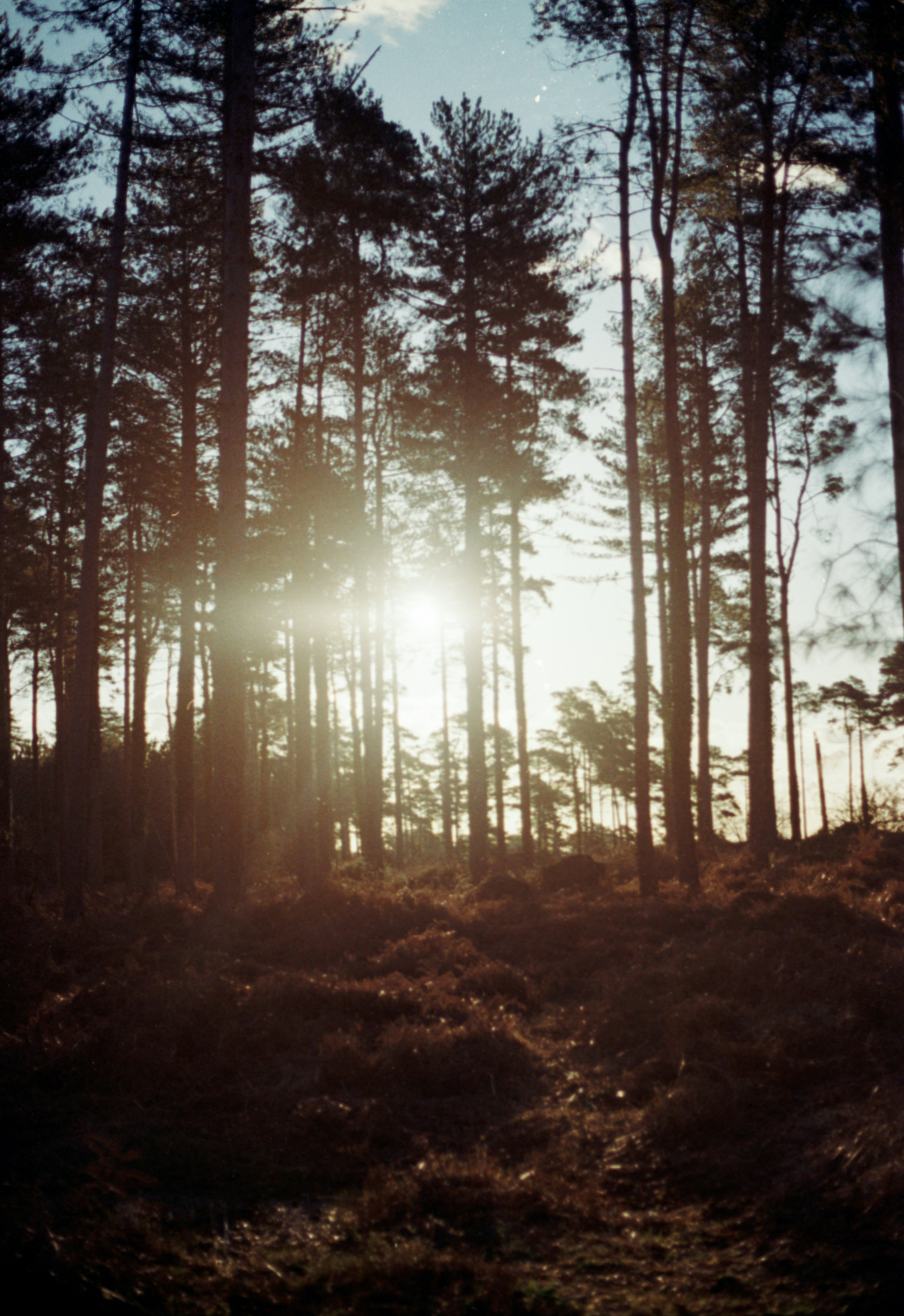 Photo by anniespratt