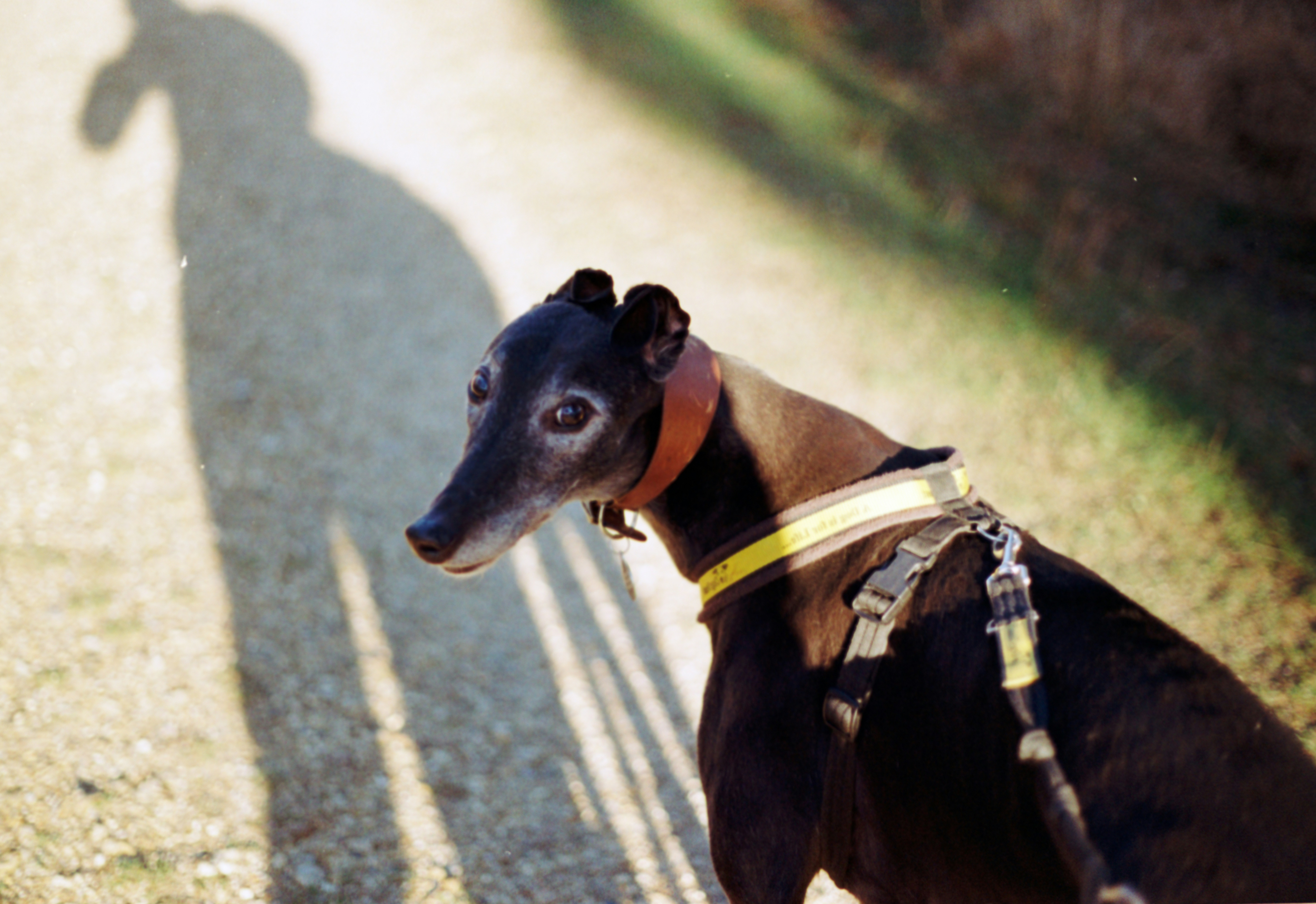 Photo by anniespratt