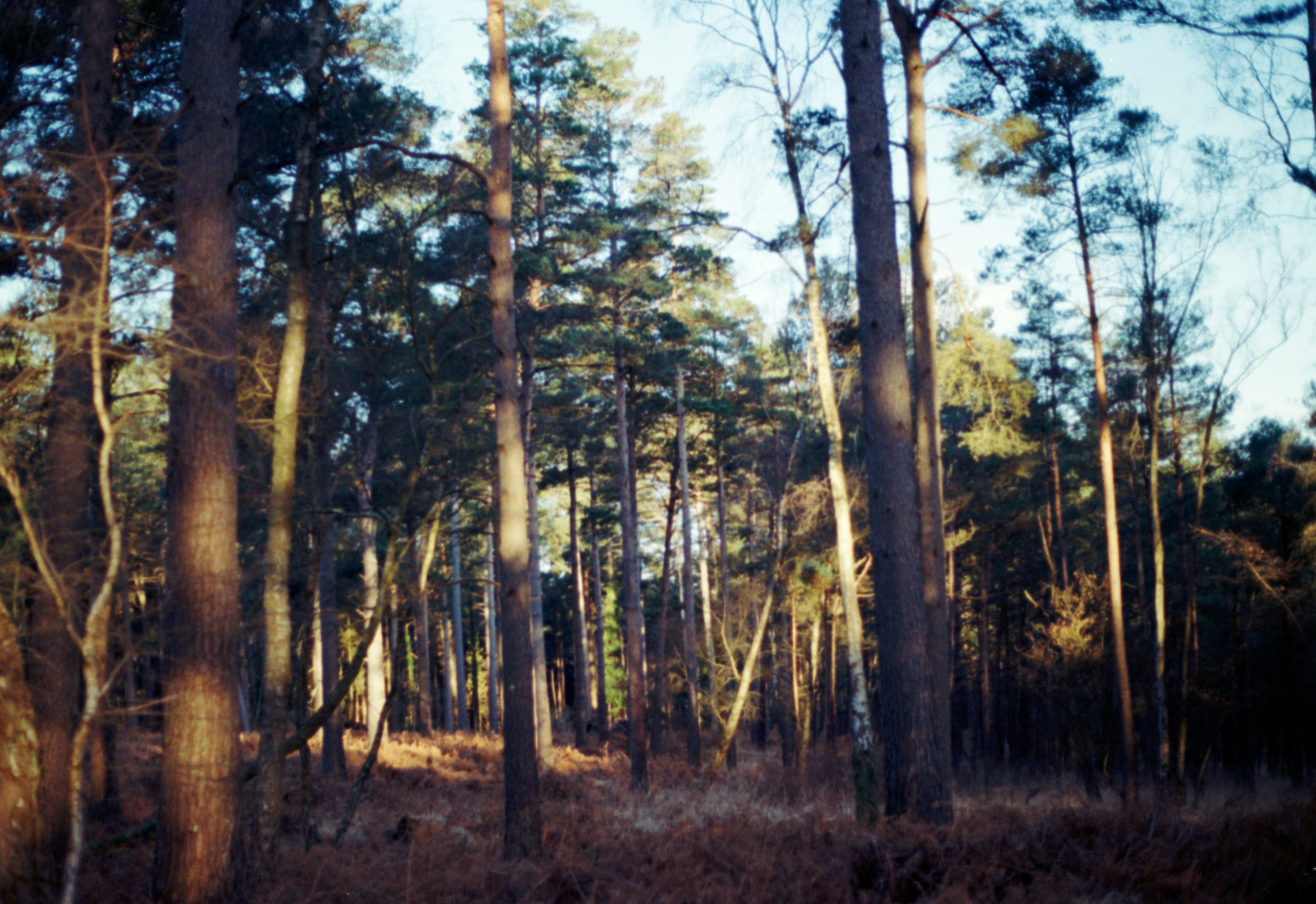 Photo by anniespratt