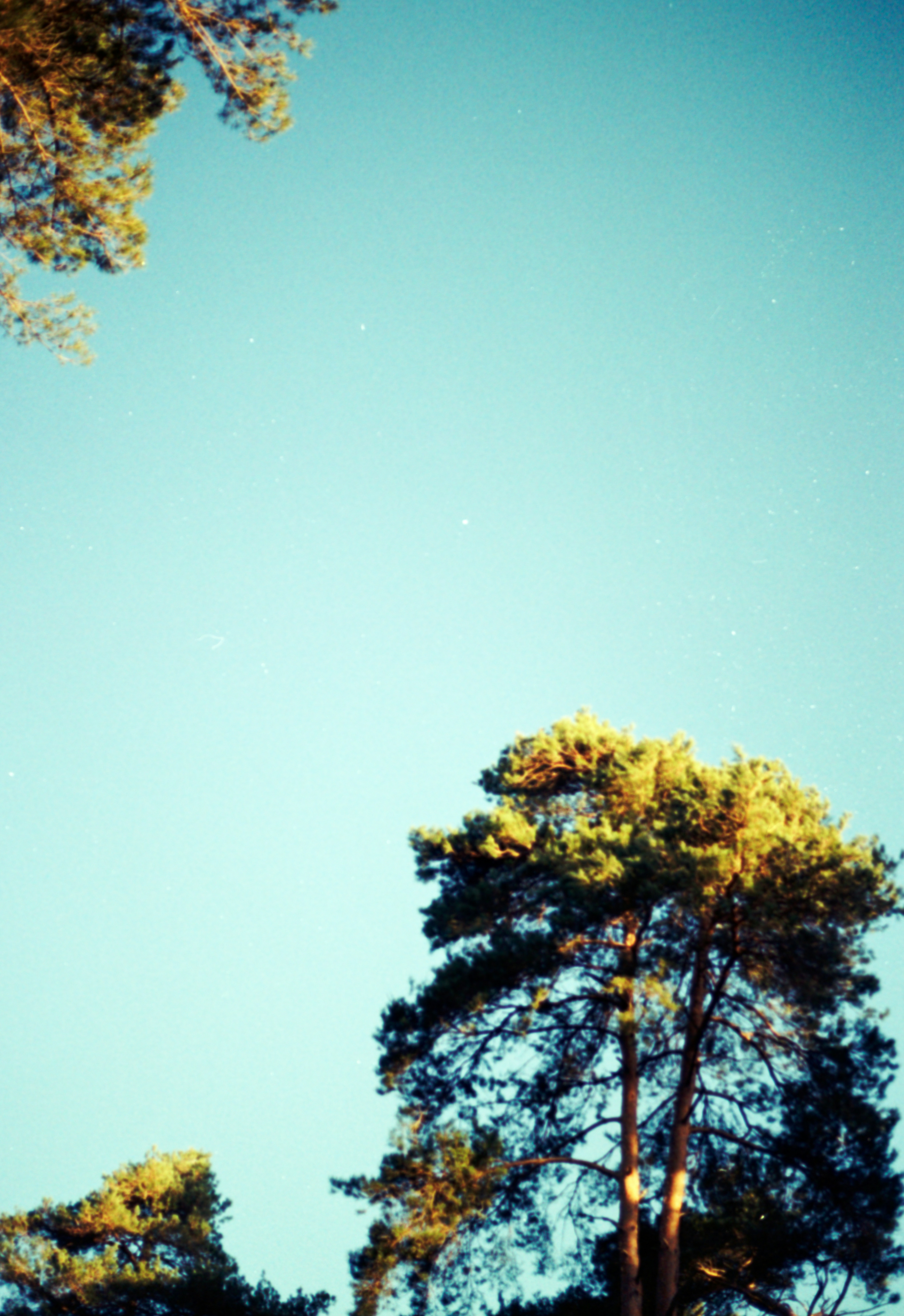 Photo by anniespratt