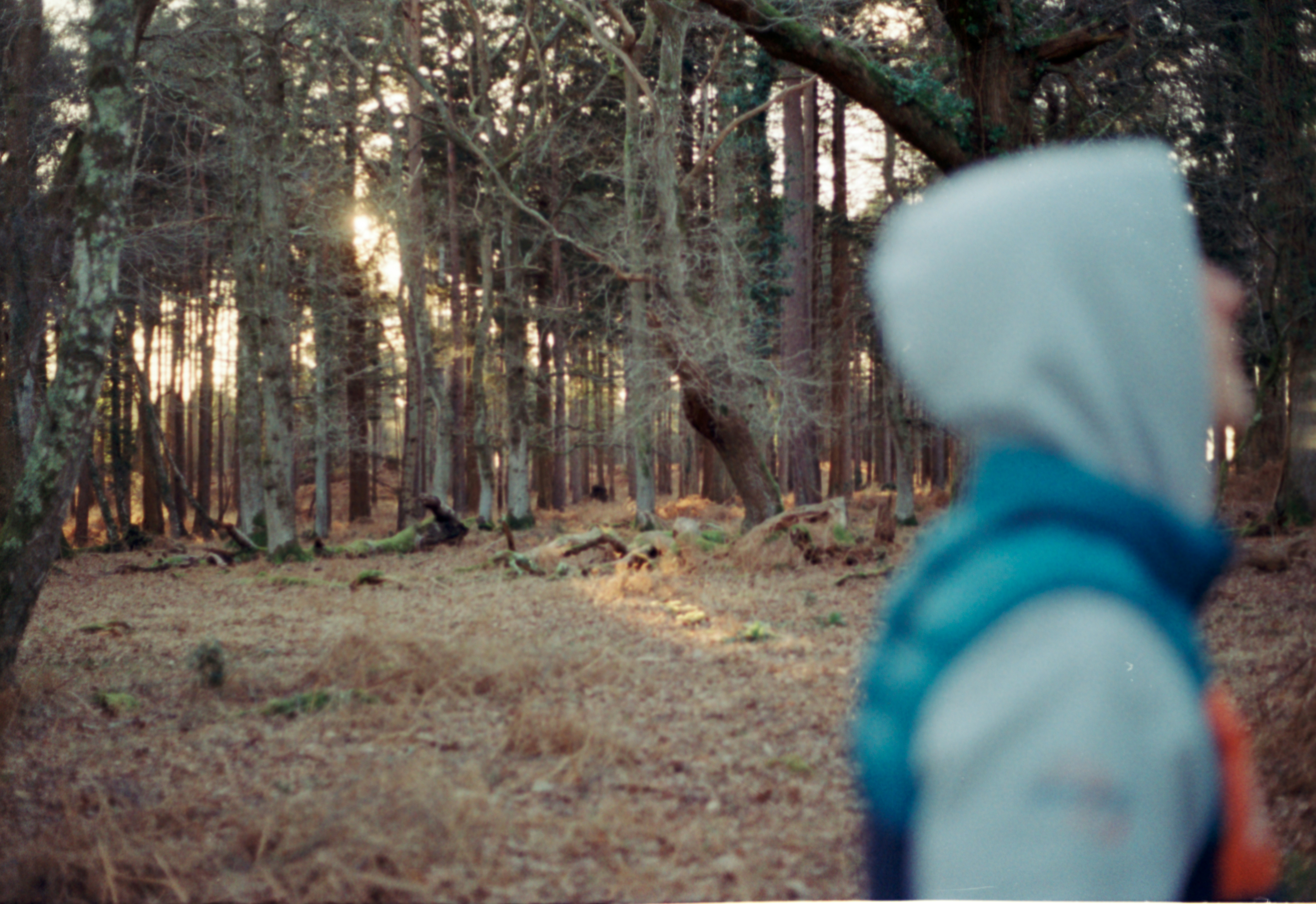 Photo by anniespratt