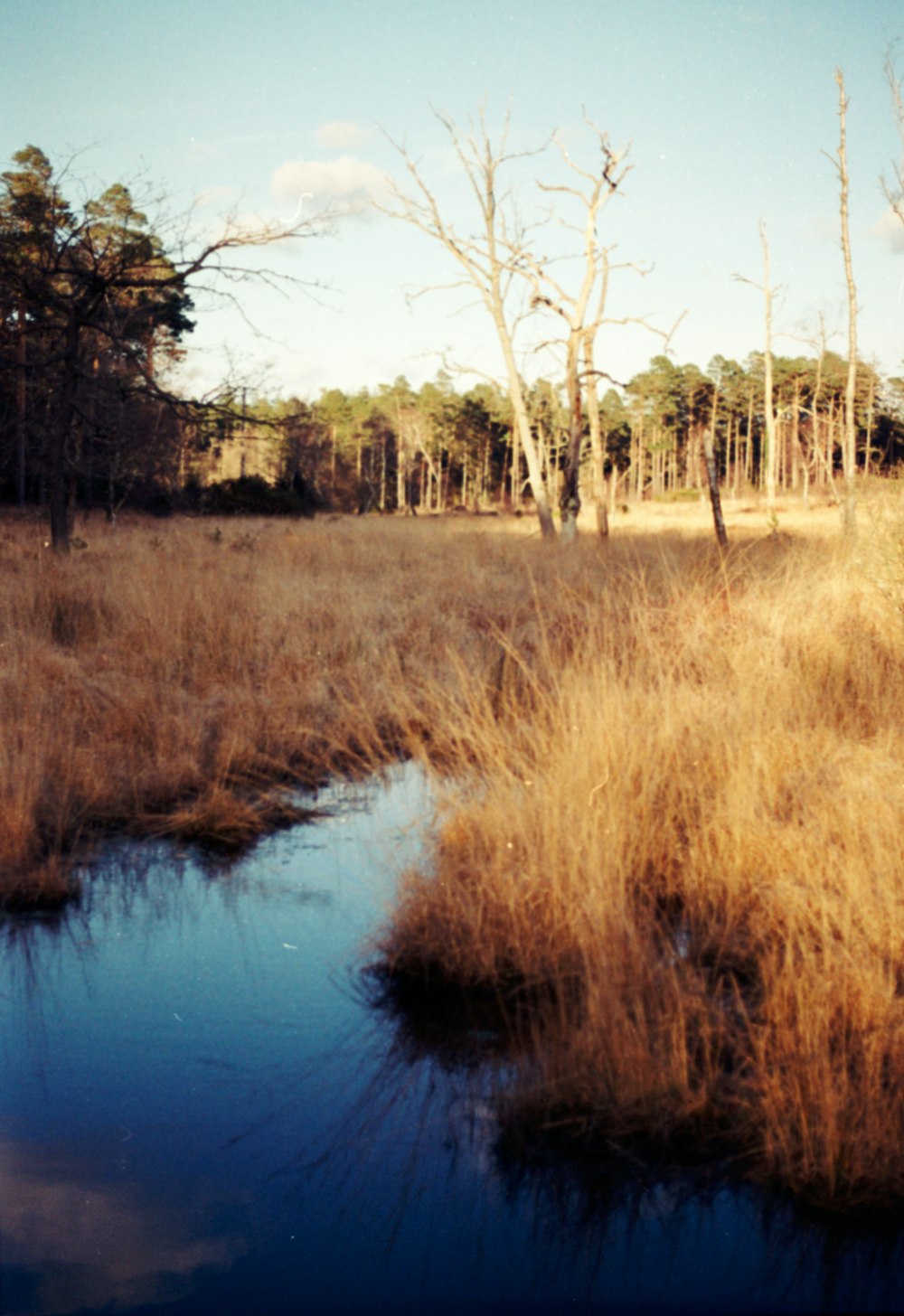 a small stream running through a dry grass covered field