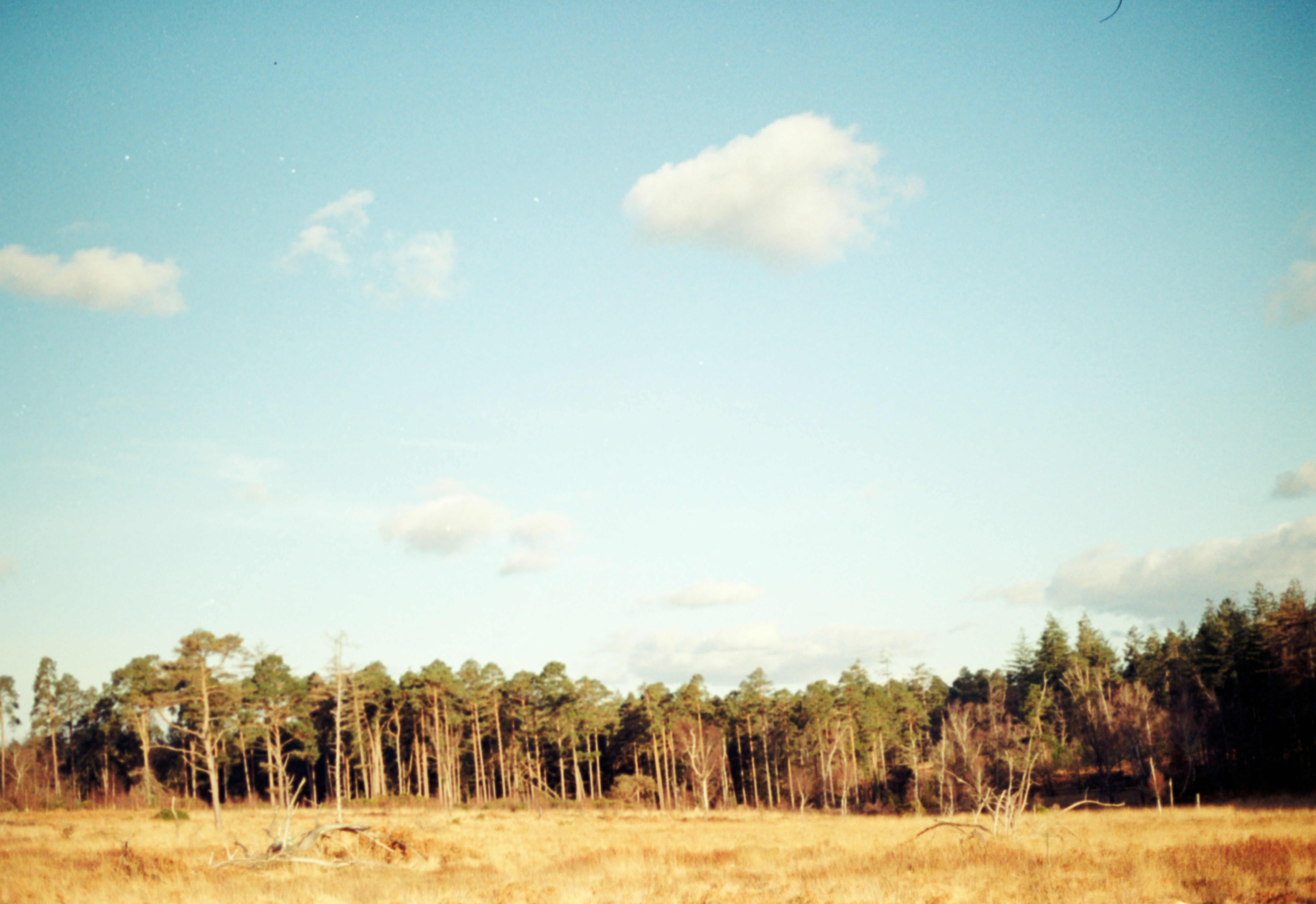 Photo by anniespratt