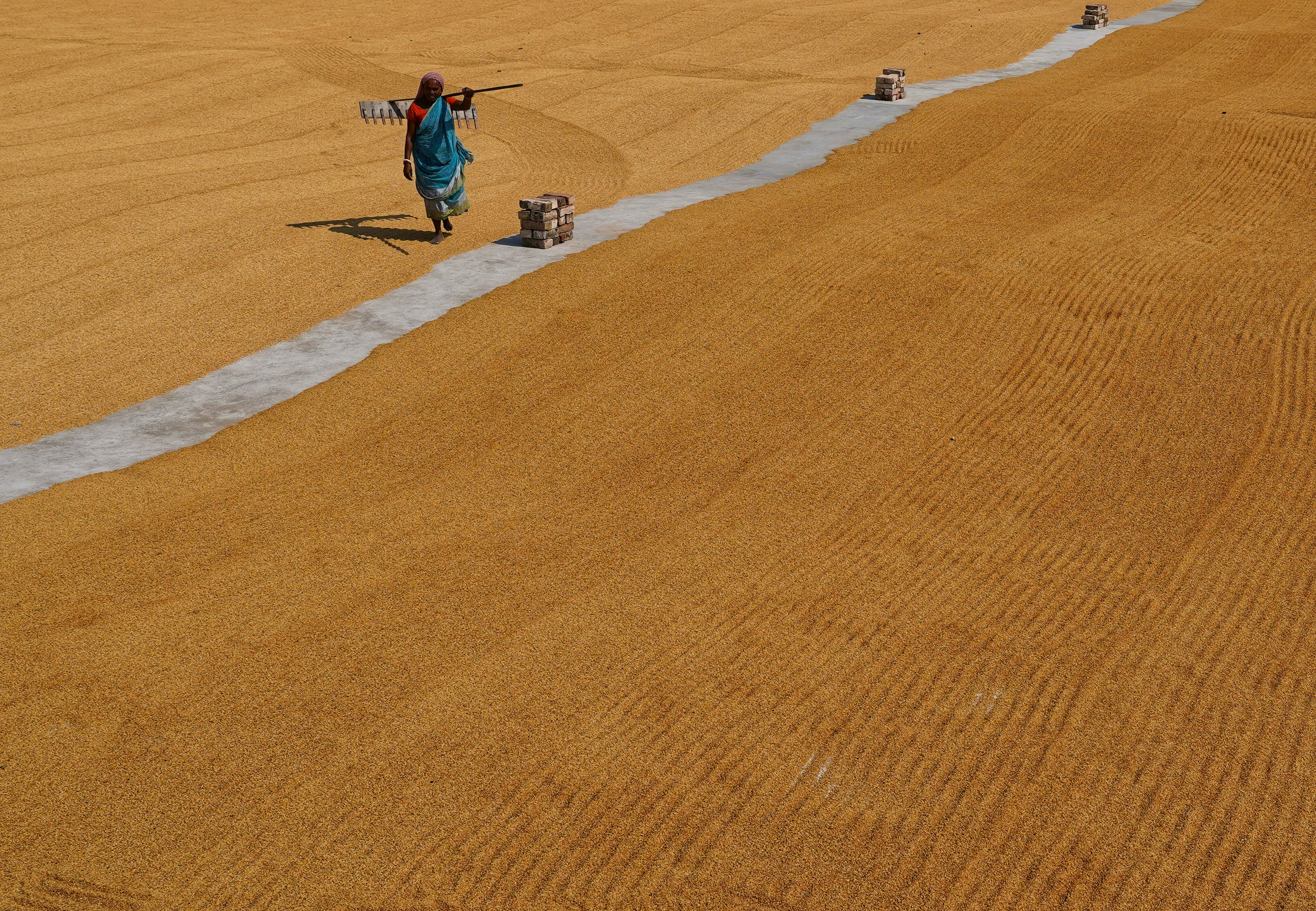 Photo by dibakar16roy