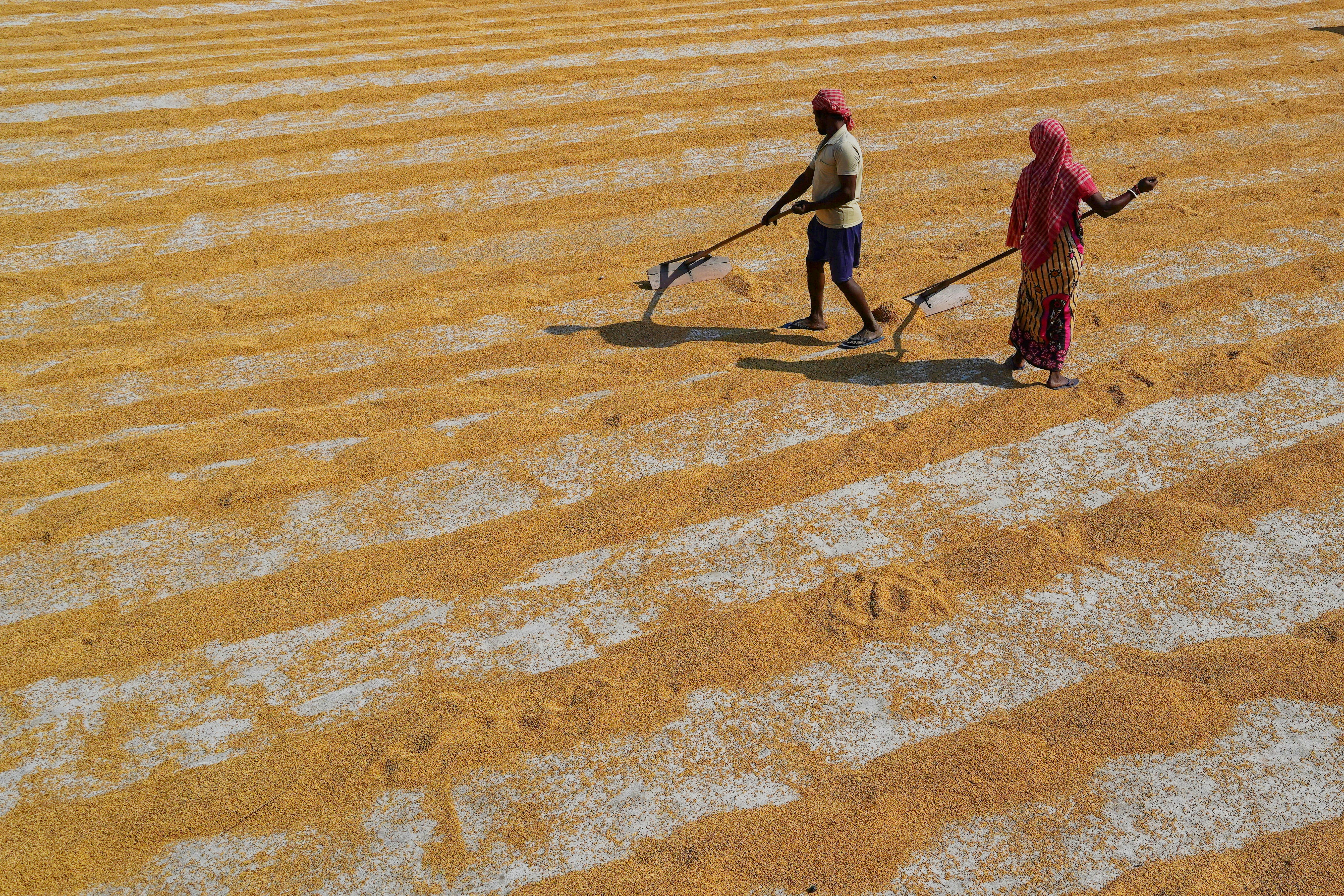 Photo by dibakar16roy