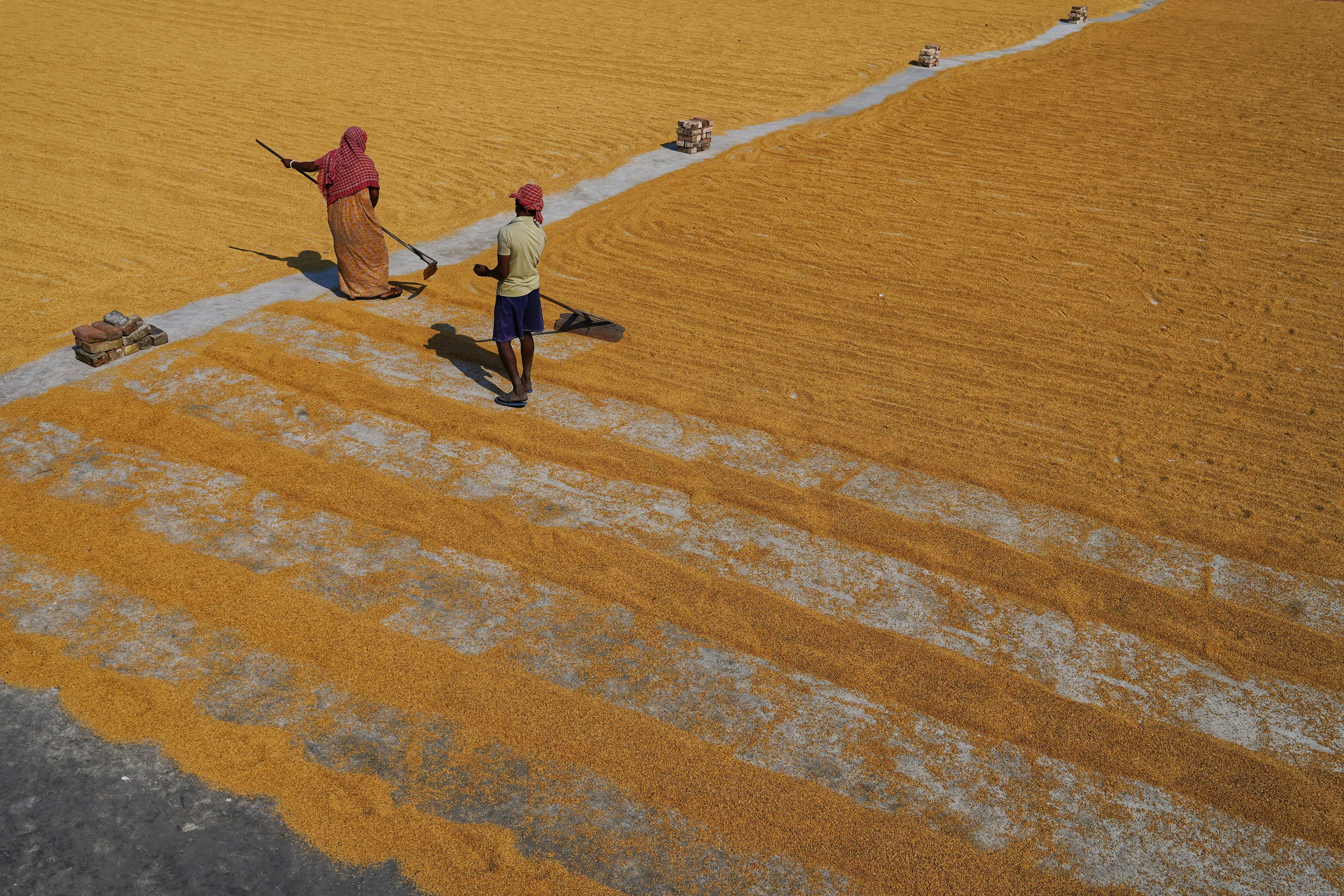 Photo by dibakar16roy