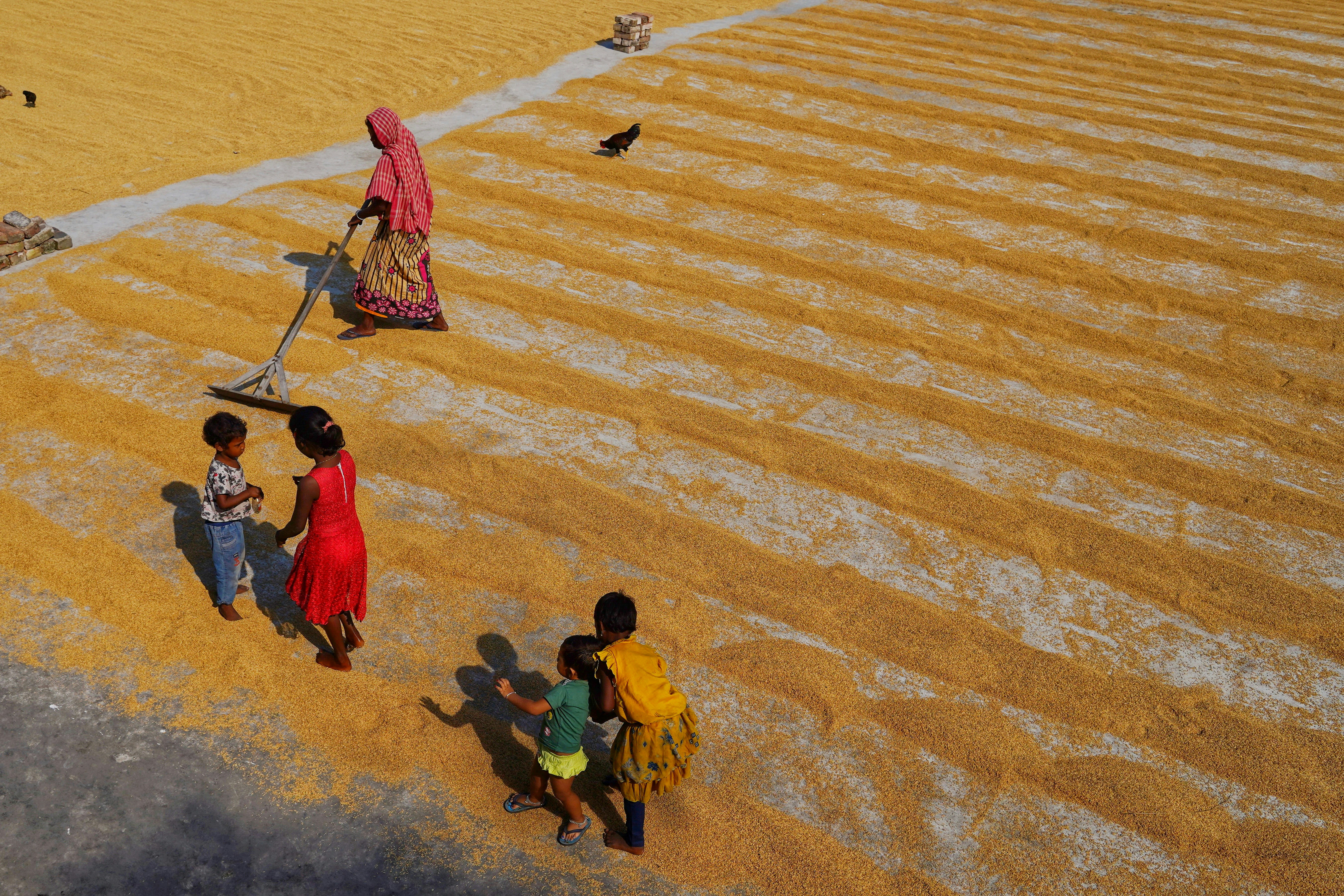 Photo by dibakar16roy