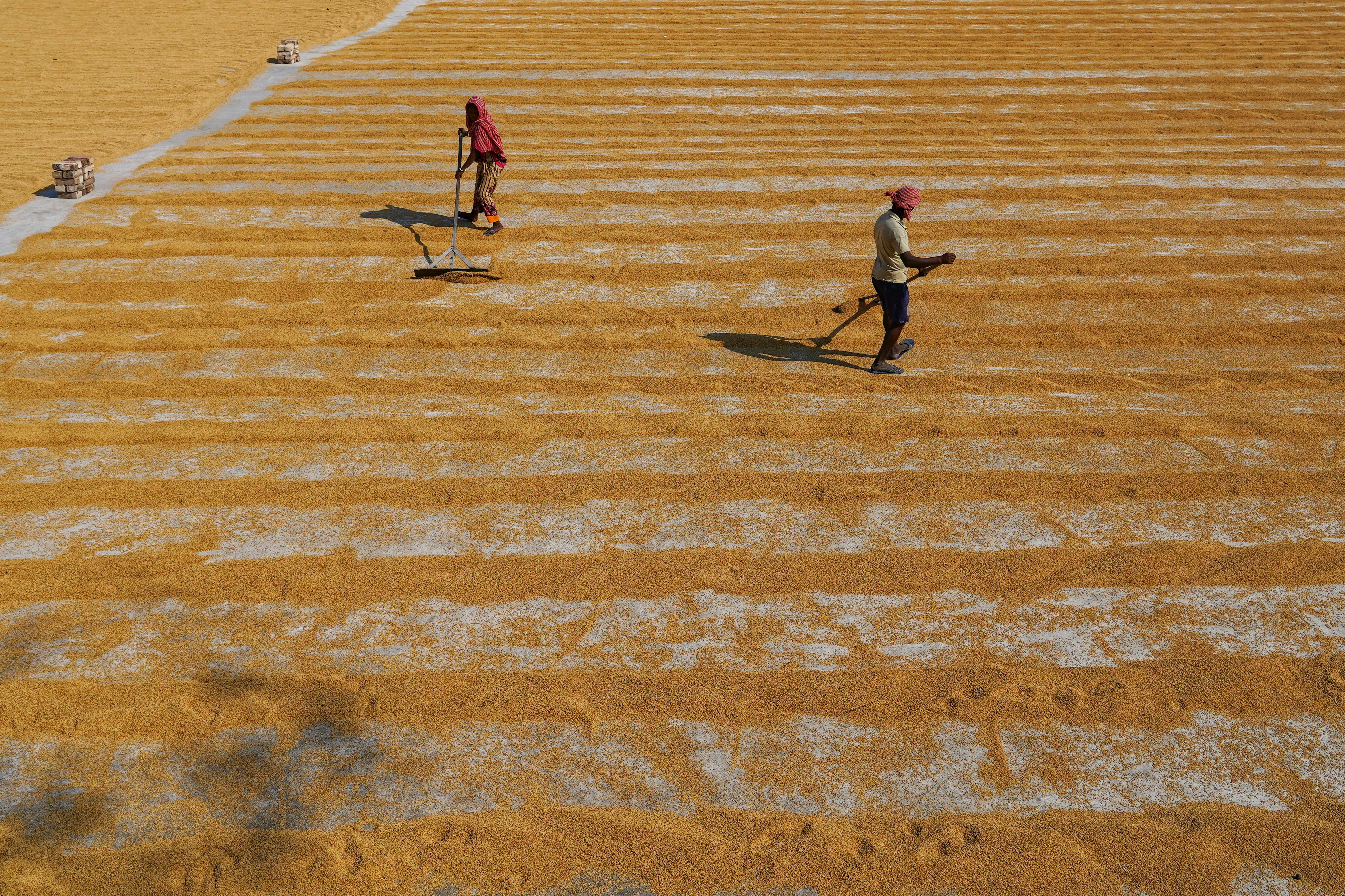 Photo by dibakar16roy