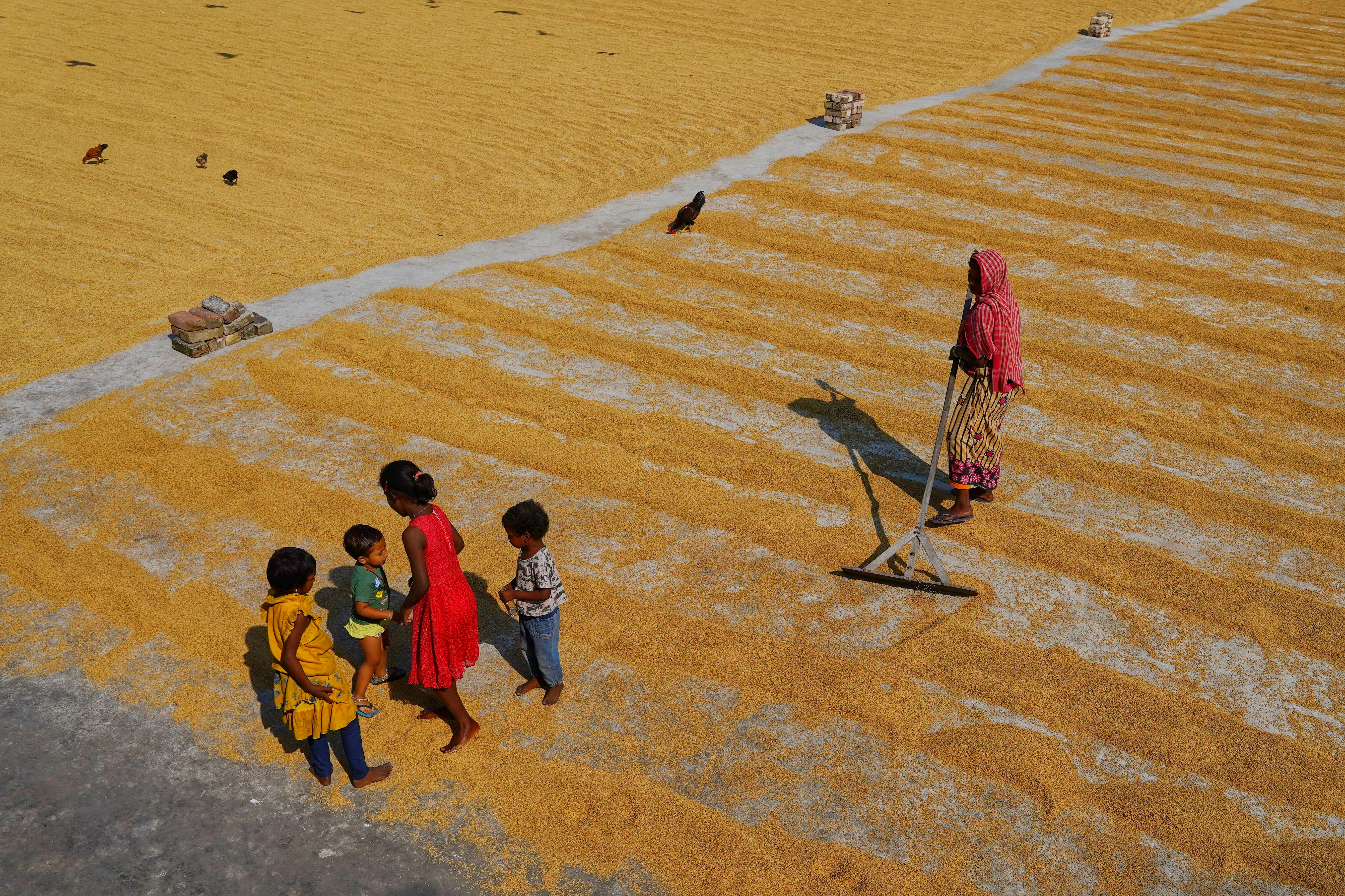 Photo by dibakar16roy