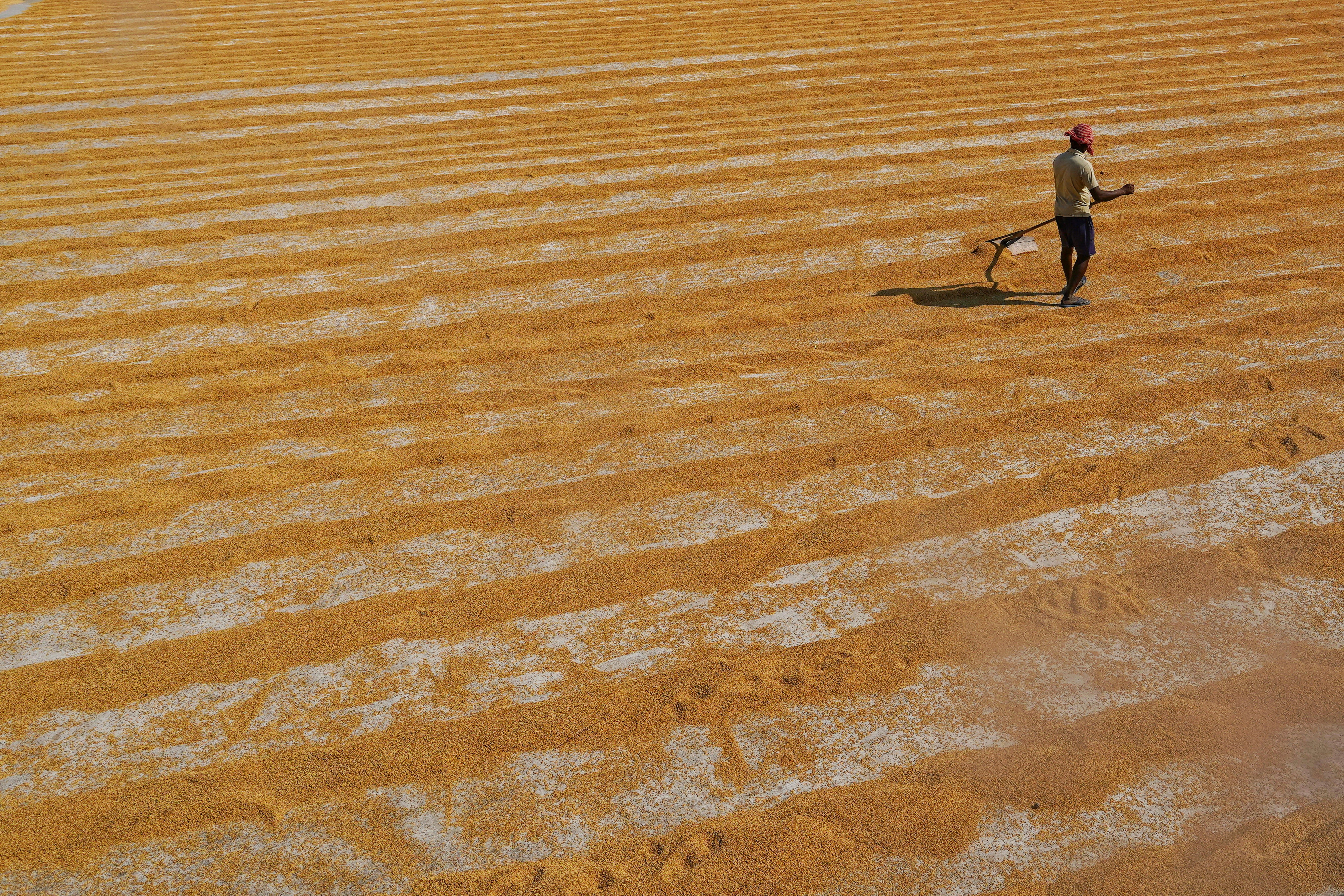 Photo by dibakar16roy