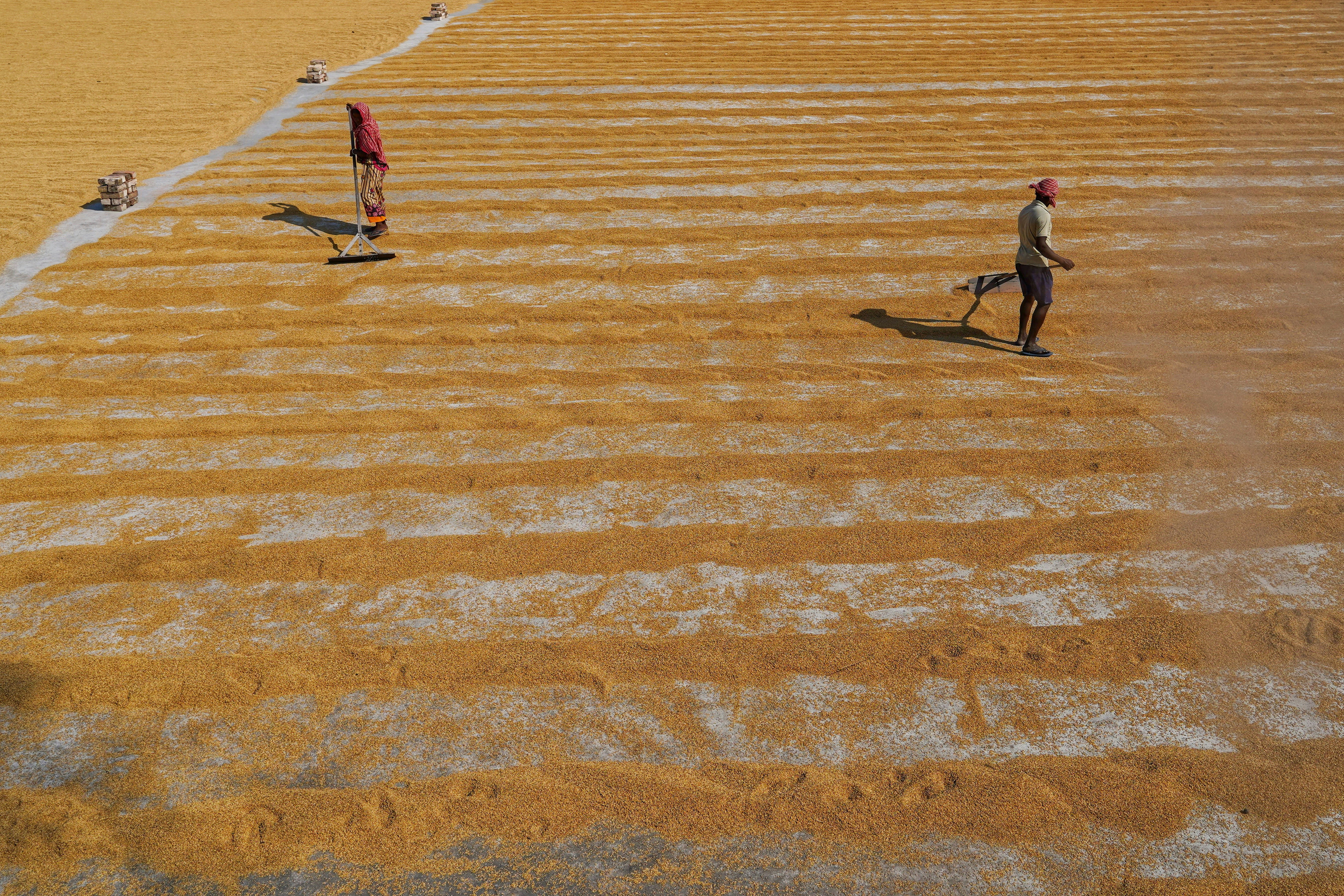 Photo by dibakar16roy