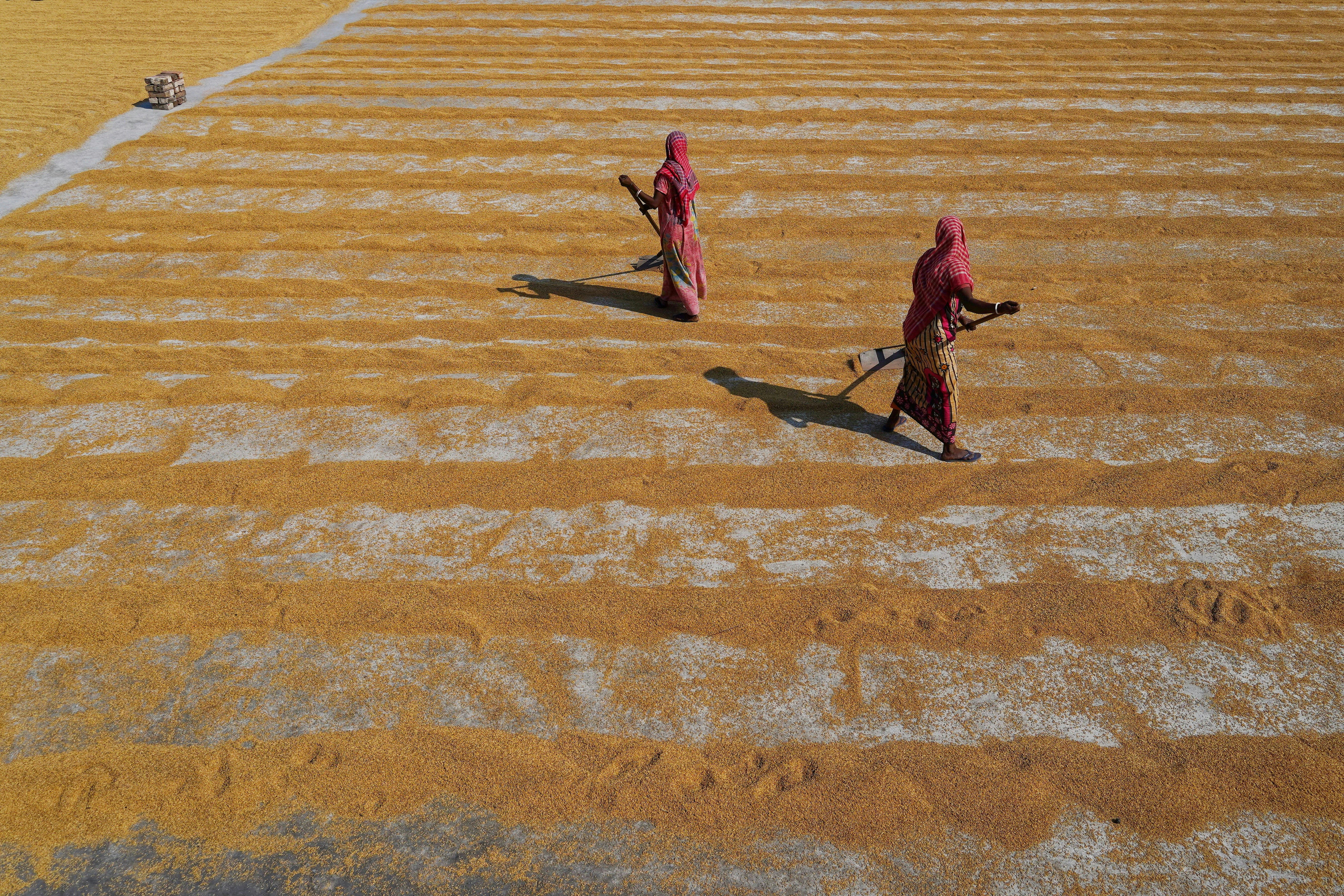 Photo by dibakar16roy