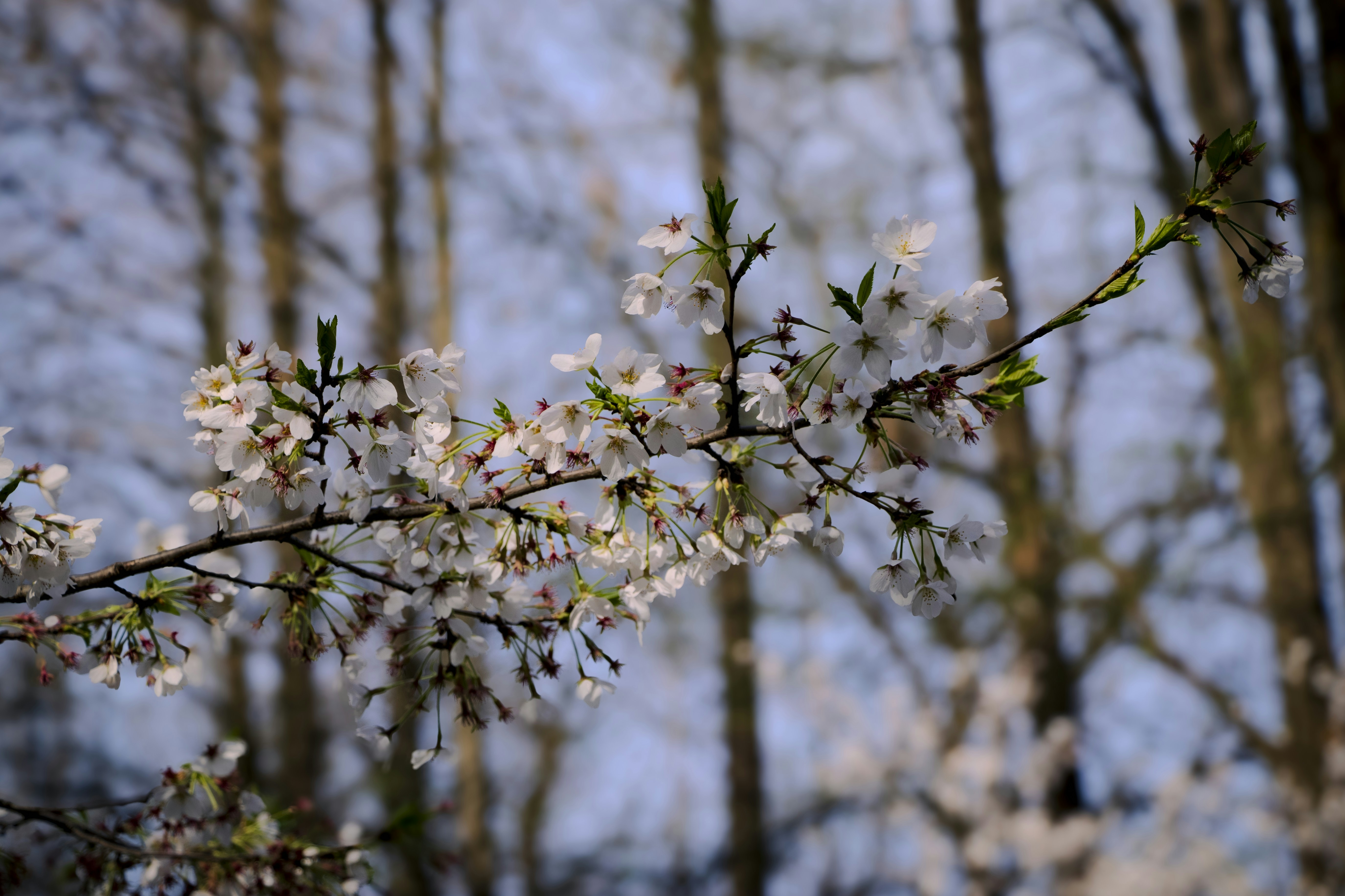 Photo by karw1n