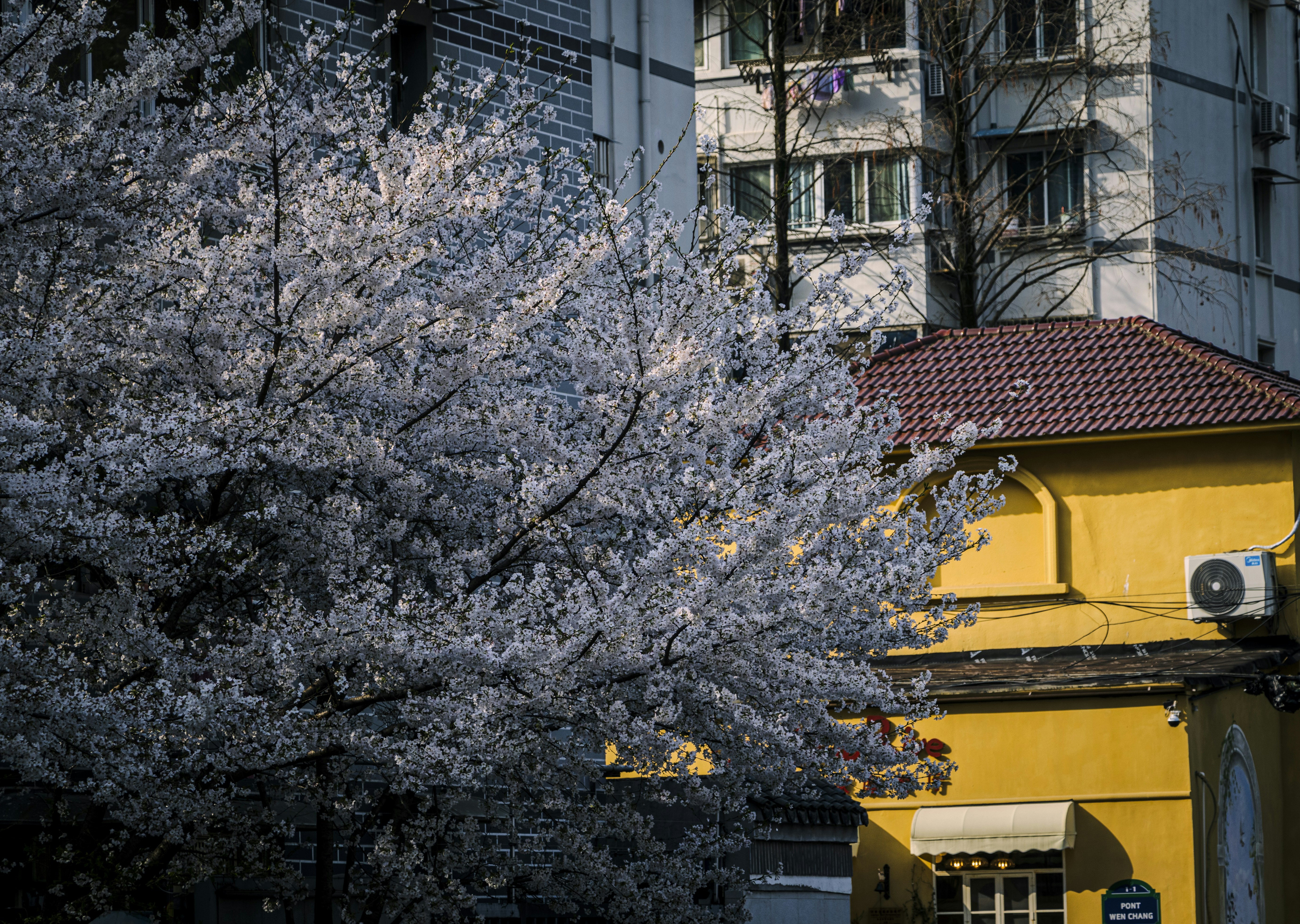 Photo by karw1n