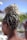 a woman with braids in her hair