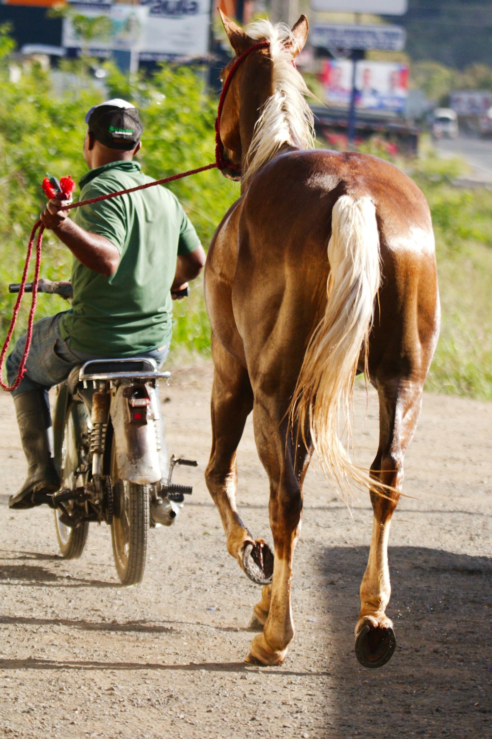 a man riding a bike with a horse on the back of it