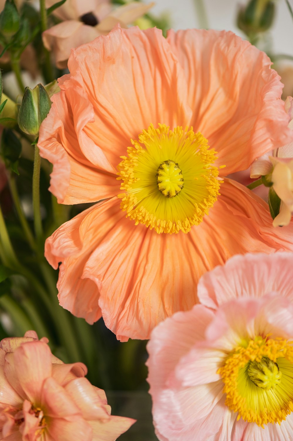 a vase filled with pink and yellow flowers