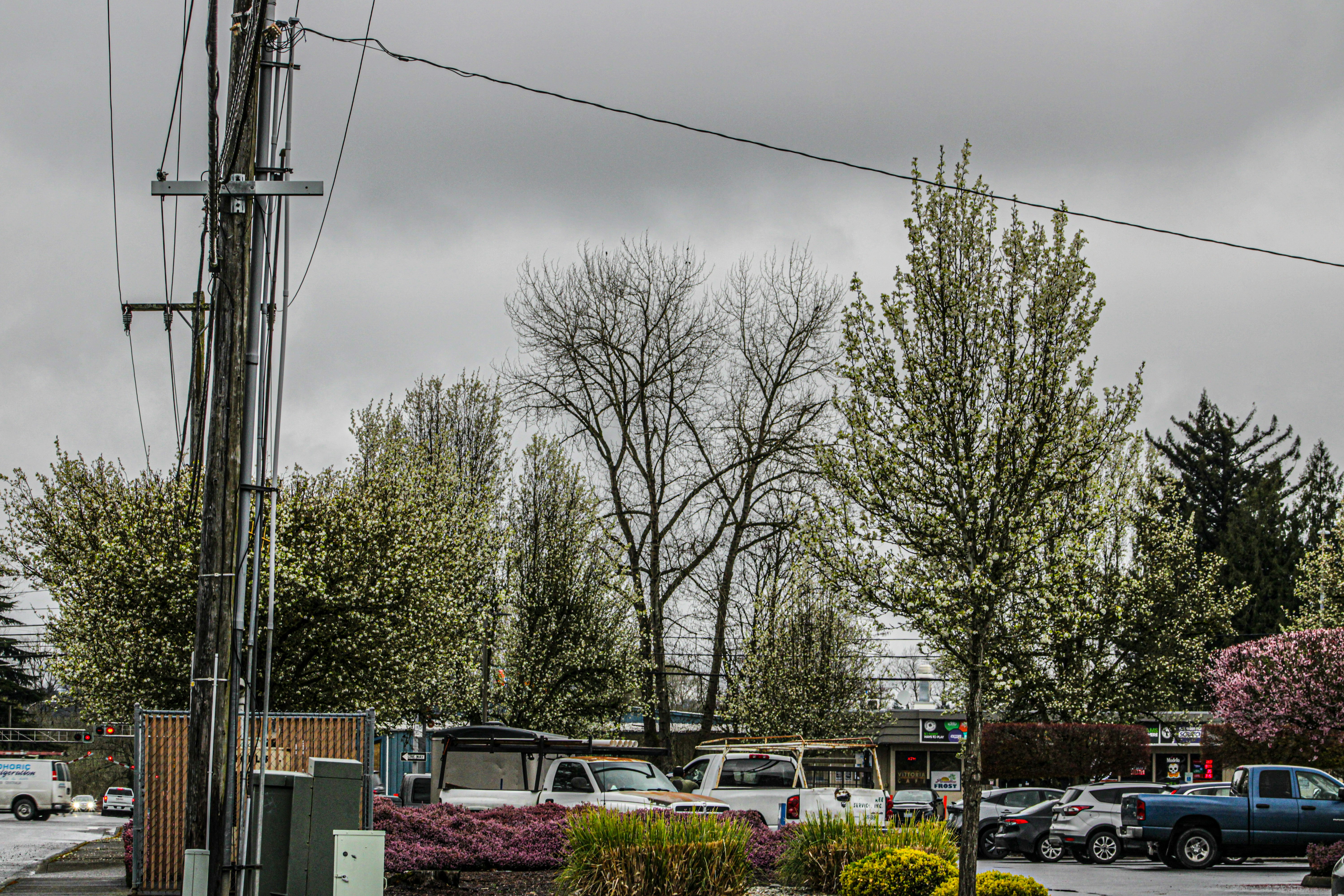Electric vehicle charging at a public station with the Seattle skyline in the background