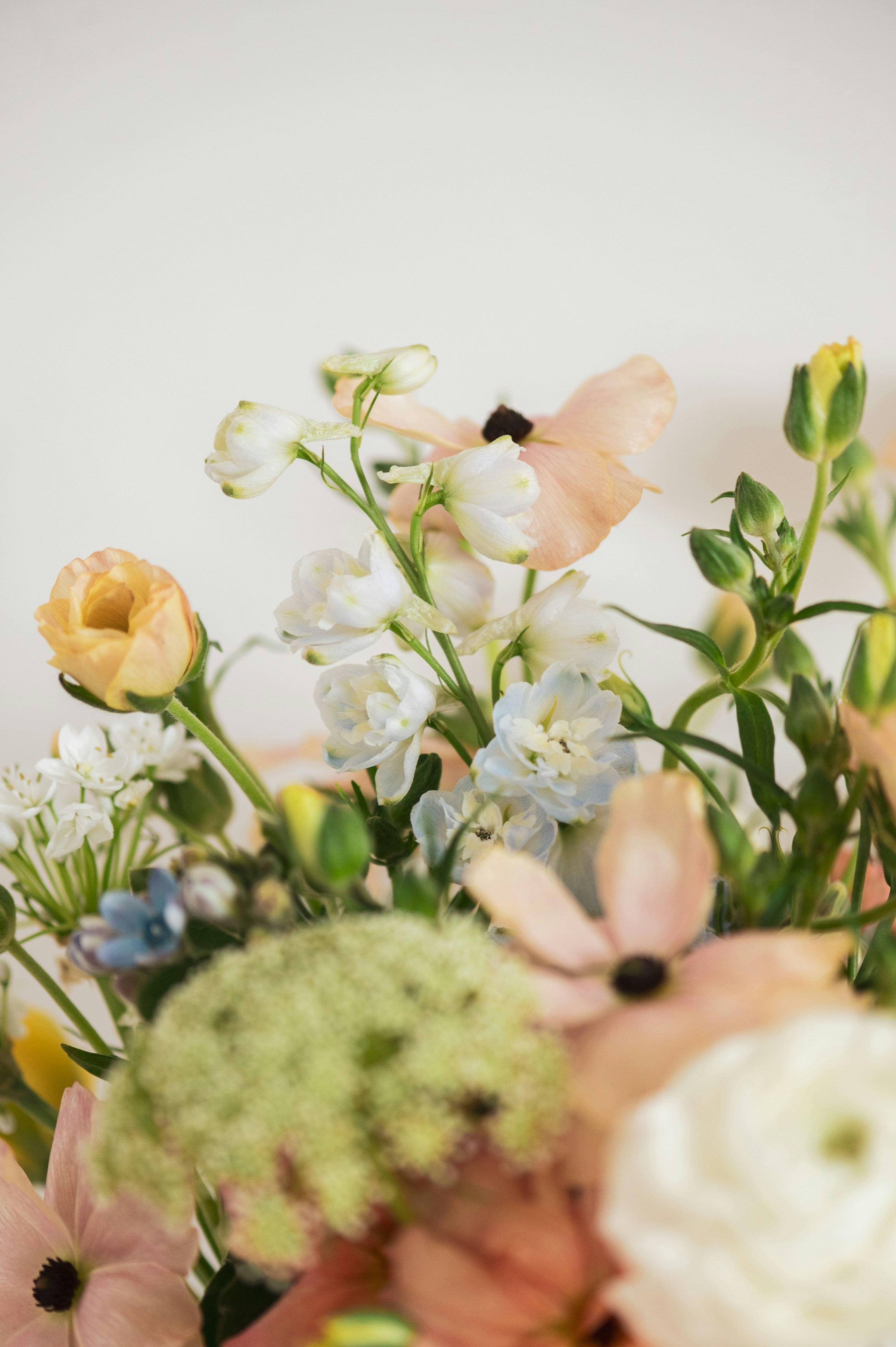 Photo by hollyboothstudio