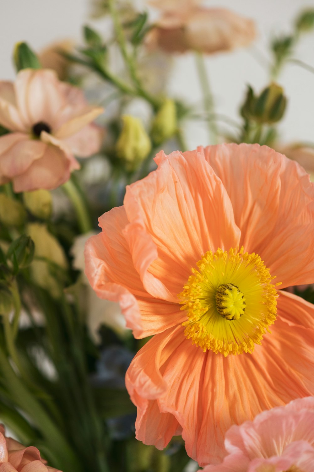 a bunch of flowers that are in a vase