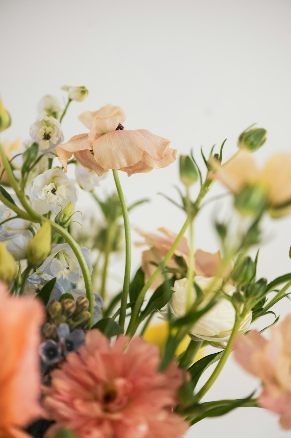 a bunch of flowers that are in a vase