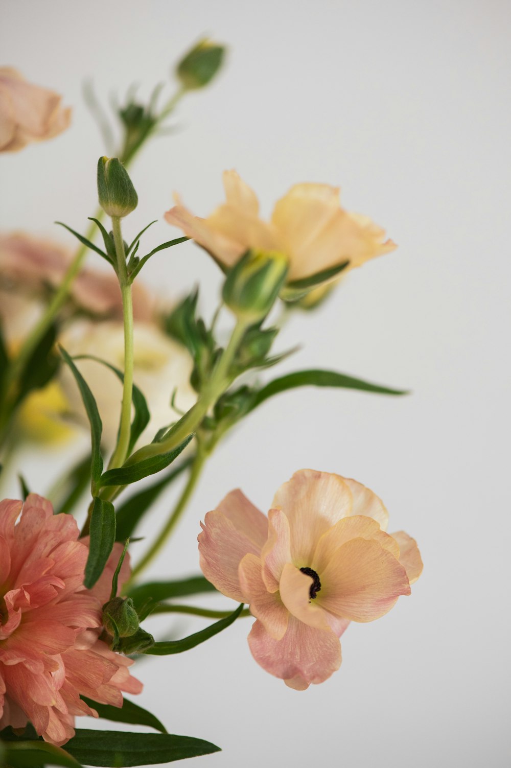 a vase filled with pink and yellow flowers