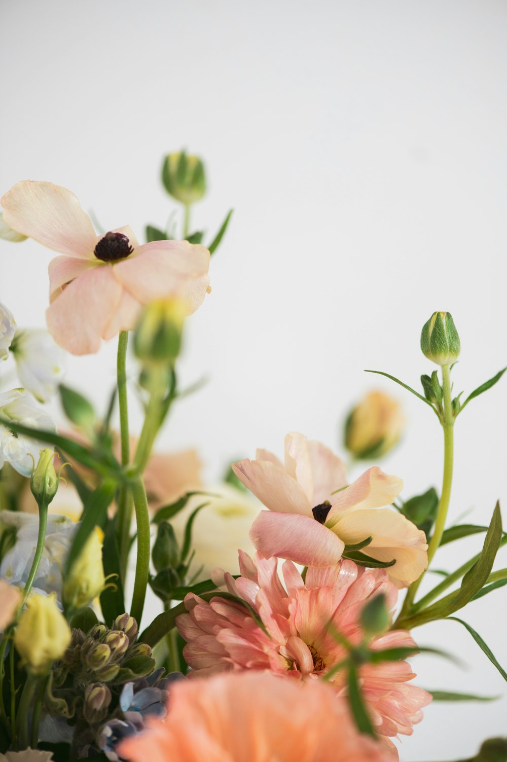 a bunch of flowers that are in a vase