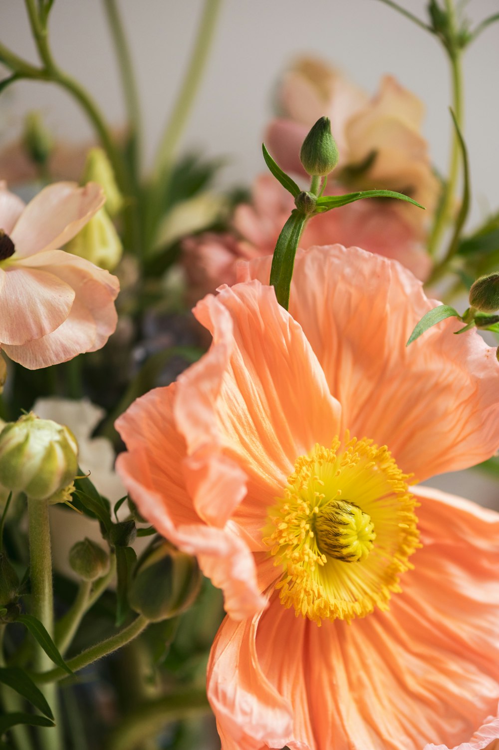 a bunch of flowers that are in a vase