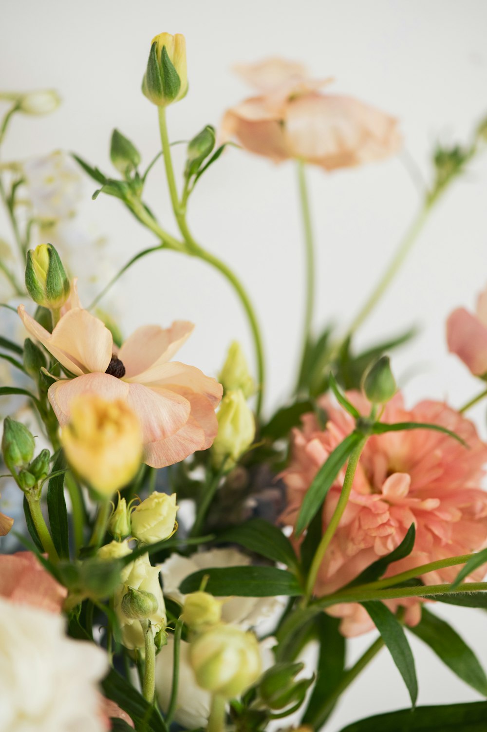 a bunch of flowers that are in a vase