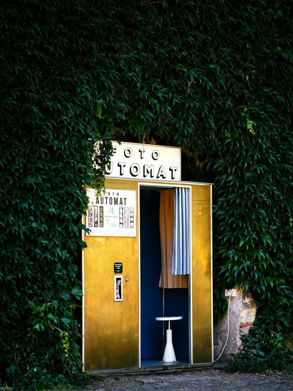 a yellow and blue phone booth sitting next to a tree